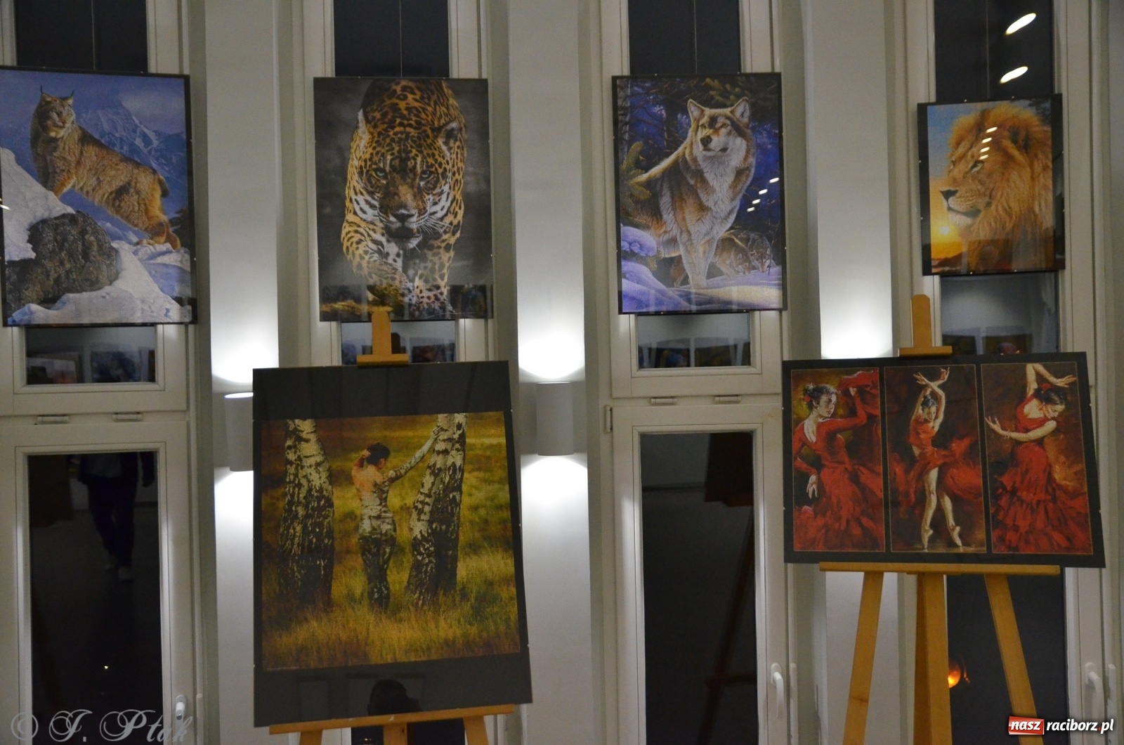 Zdjęcie w galerii na portalu naszraciborz.pl: Magiczny świat puzzli w raciborskiej książnicy wiadomości z regionu