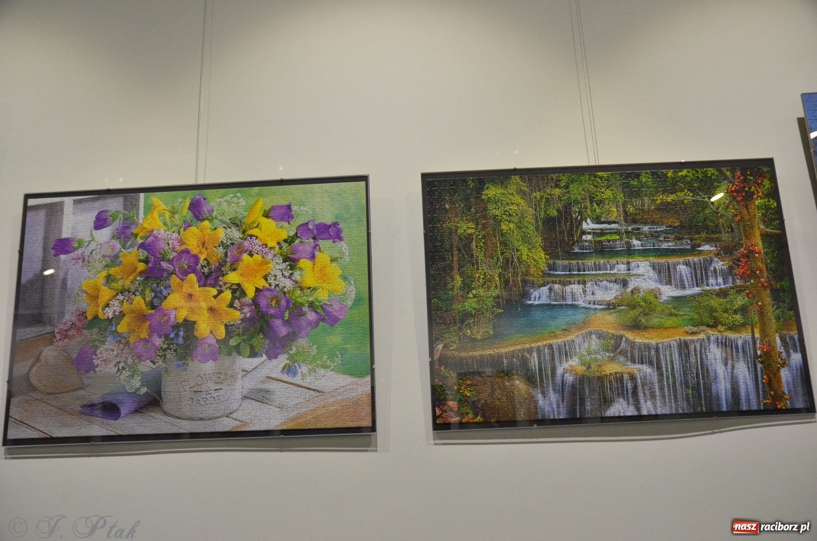 Zdjęcie w galerii na portalu naszraciborz.pl: Magiczny świat puzzli w raciborskiej książnicy wiadomości z regionu