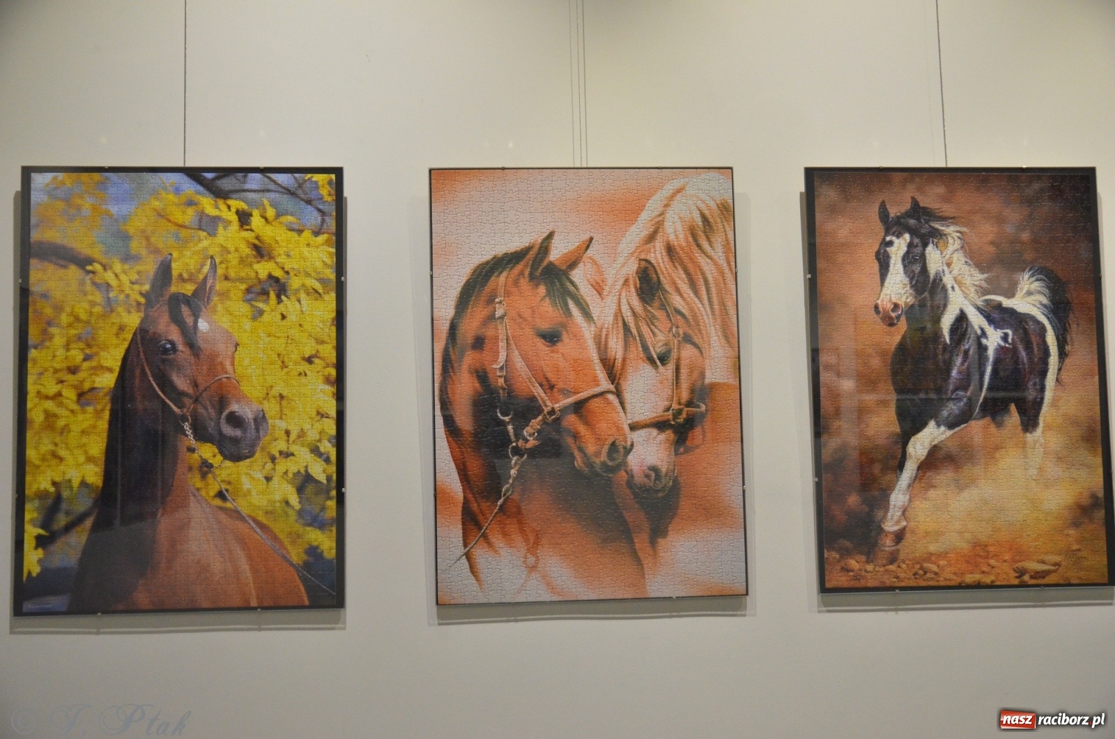 Zdjęcie w galerii na portalu naszraciborz.pl: Magiczny świat puzzli w raciborskiej książnicy wiadomości z regionu