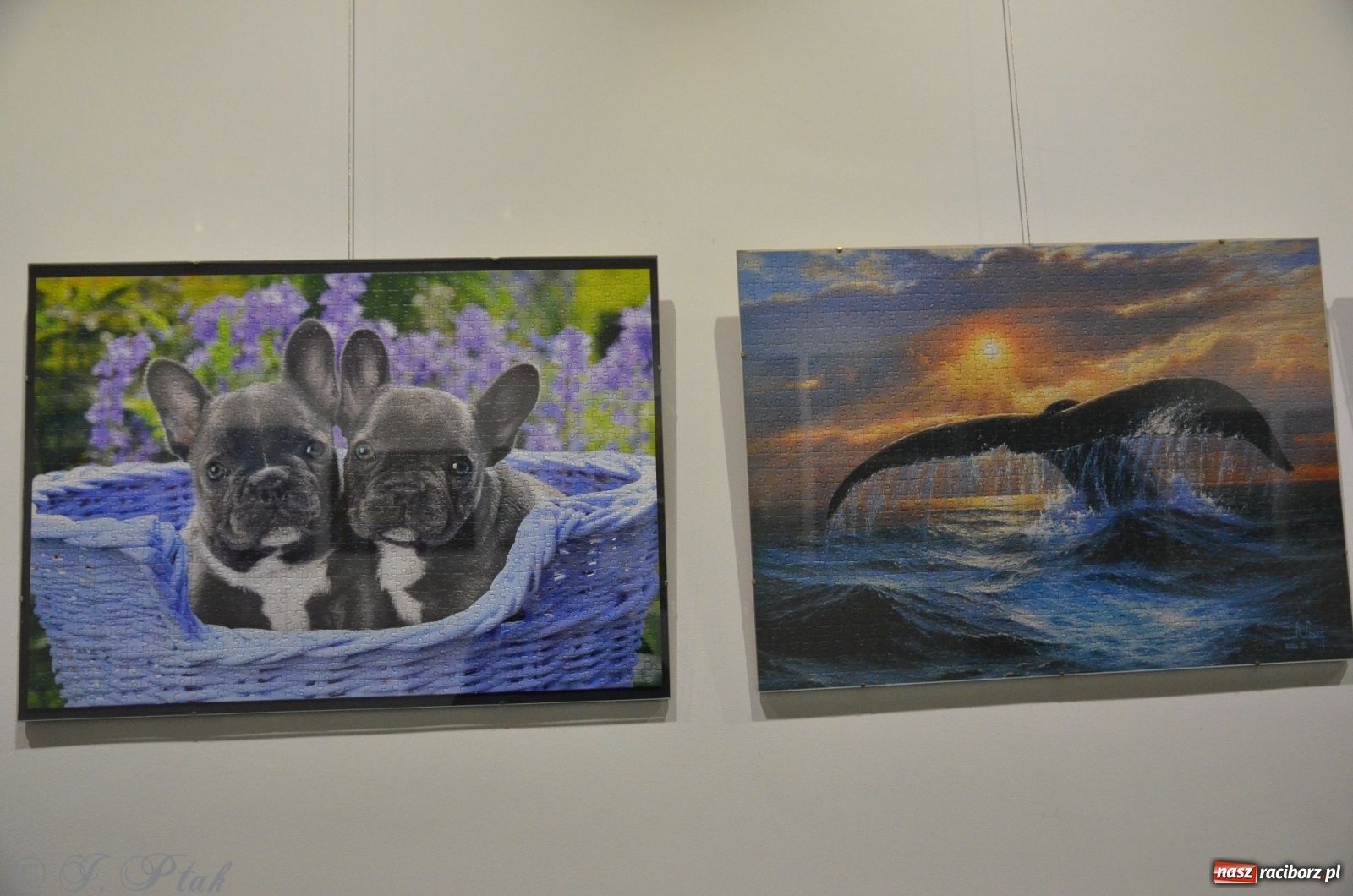 Zdjęcie w galerii na portalu naszraciborz.pl: Magiczny świat puzzli w raciborskiej książnicy wiadomości z regionu