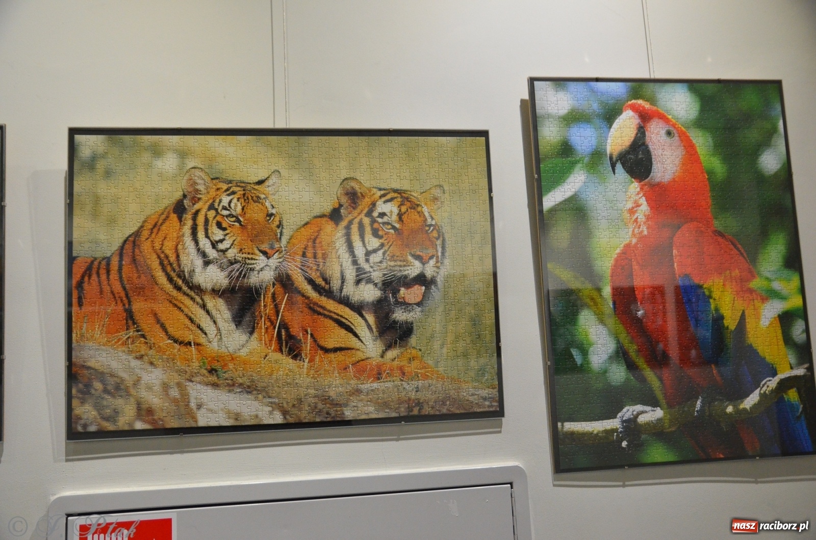 Zdjęcie w galerii na portalu naszraciborz.pl: Magiczny świat puzzli w raciborskiej książnicy wiadomości z regionu