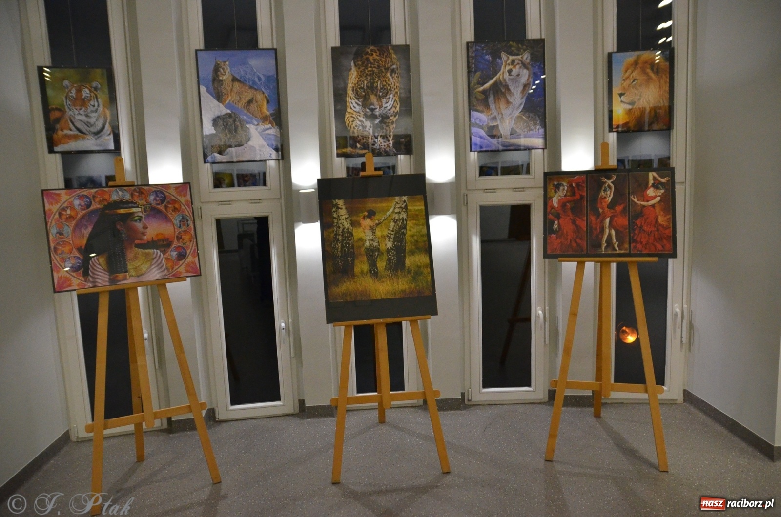 Zdjęcie w galerii na portalu naszraciborz.pl: Magiczny świat puzzli w raciborskiej książnicy wiadomości z regionu