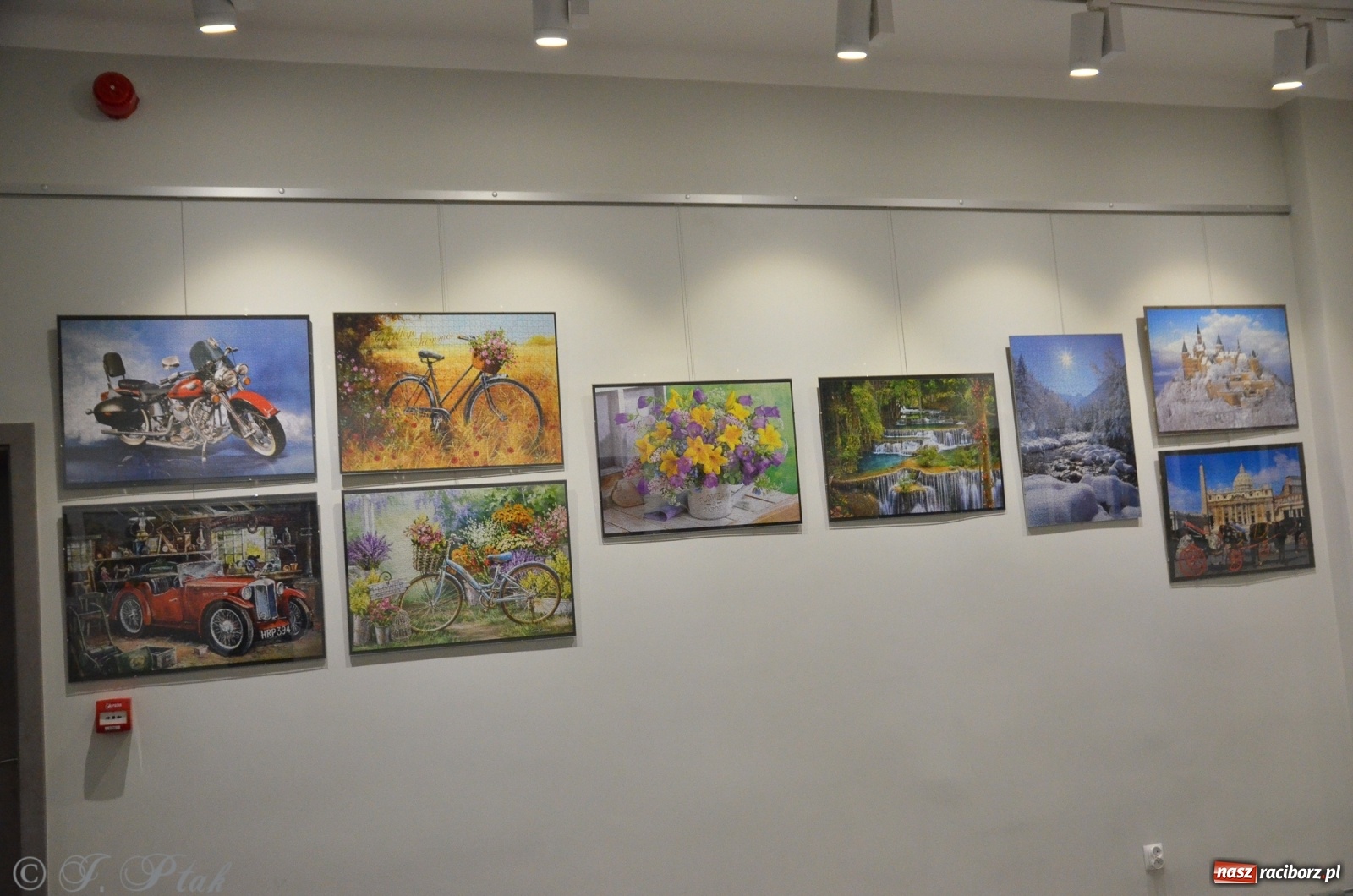 Zdjęcie w galerii na portalu naszraciborz.pl: Magiczny świat puzzli w raciborskiej książnicy wiadomości z regionu