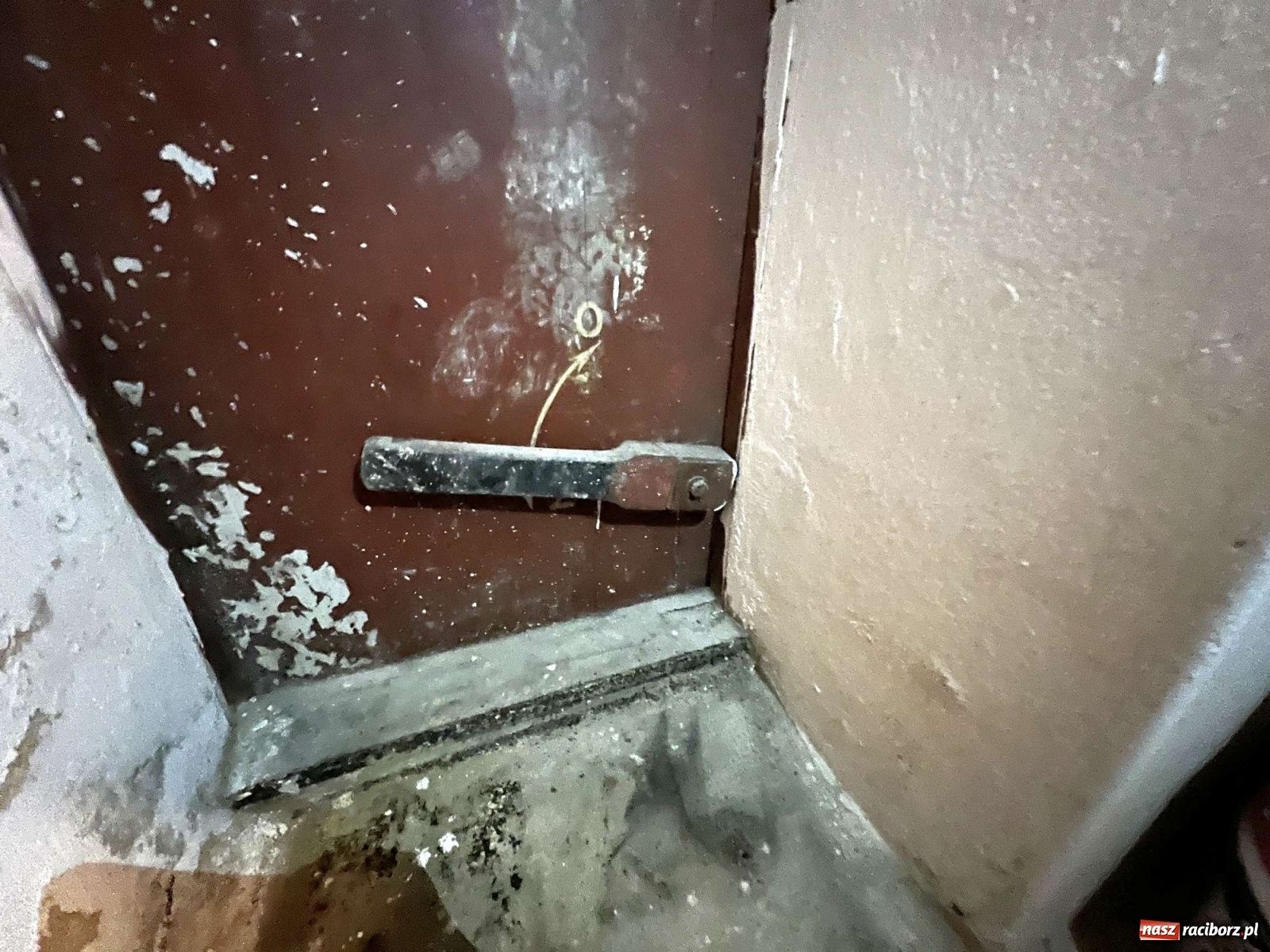 Zdjęcie w galerii na portalu naszraciborz.pl: Poniemiecki schron przy ul. Wileńskiej, dawniej Hohenzollernów [FOTO] wiadomości z regionu