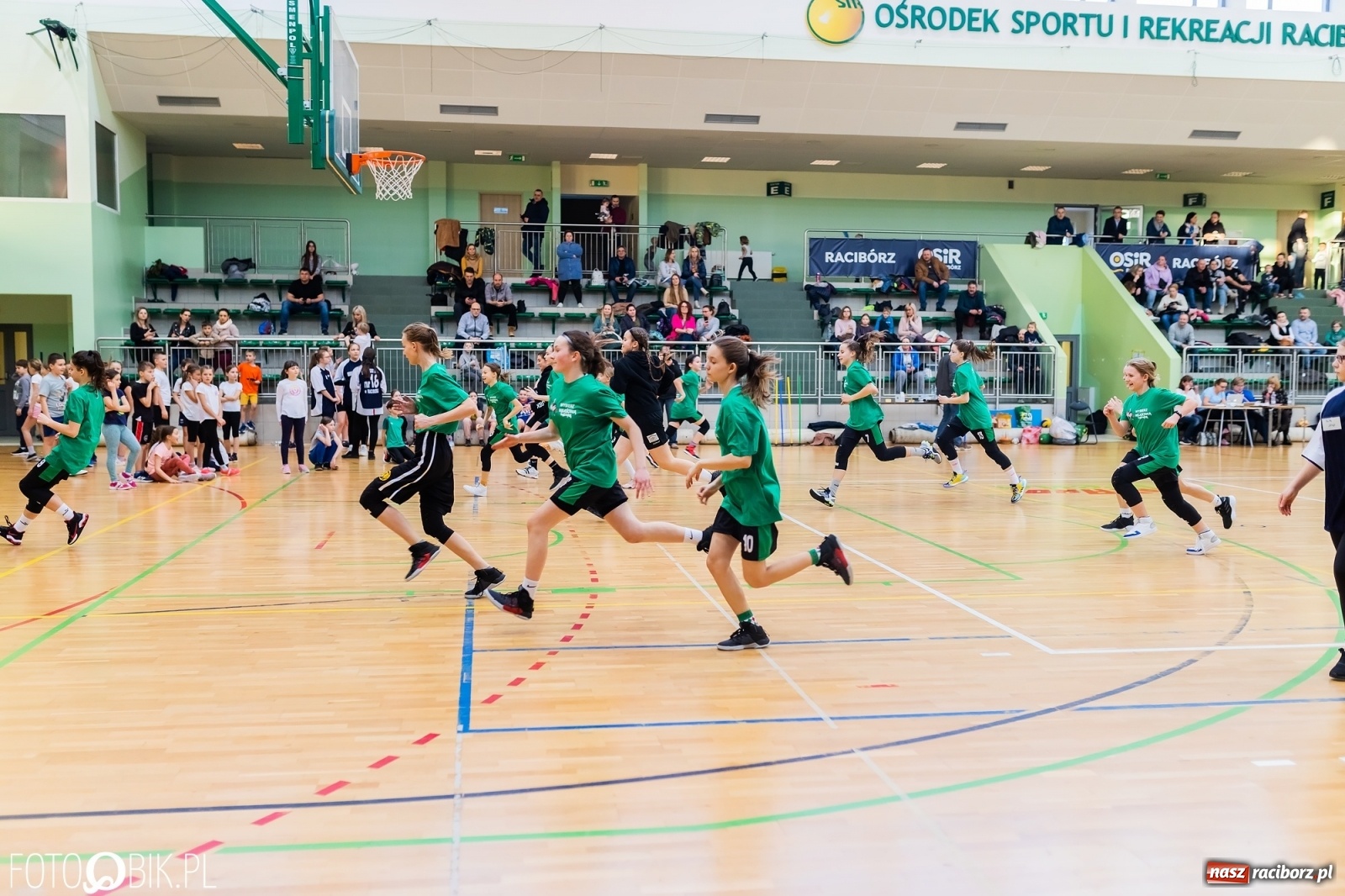 Zdjęcie w galerii na portalu naszraciborz.pl: Festiwal Sportu z SP 18 w hali przy Łąkowej [FOTO i WIDEO] wiadomości z regionu