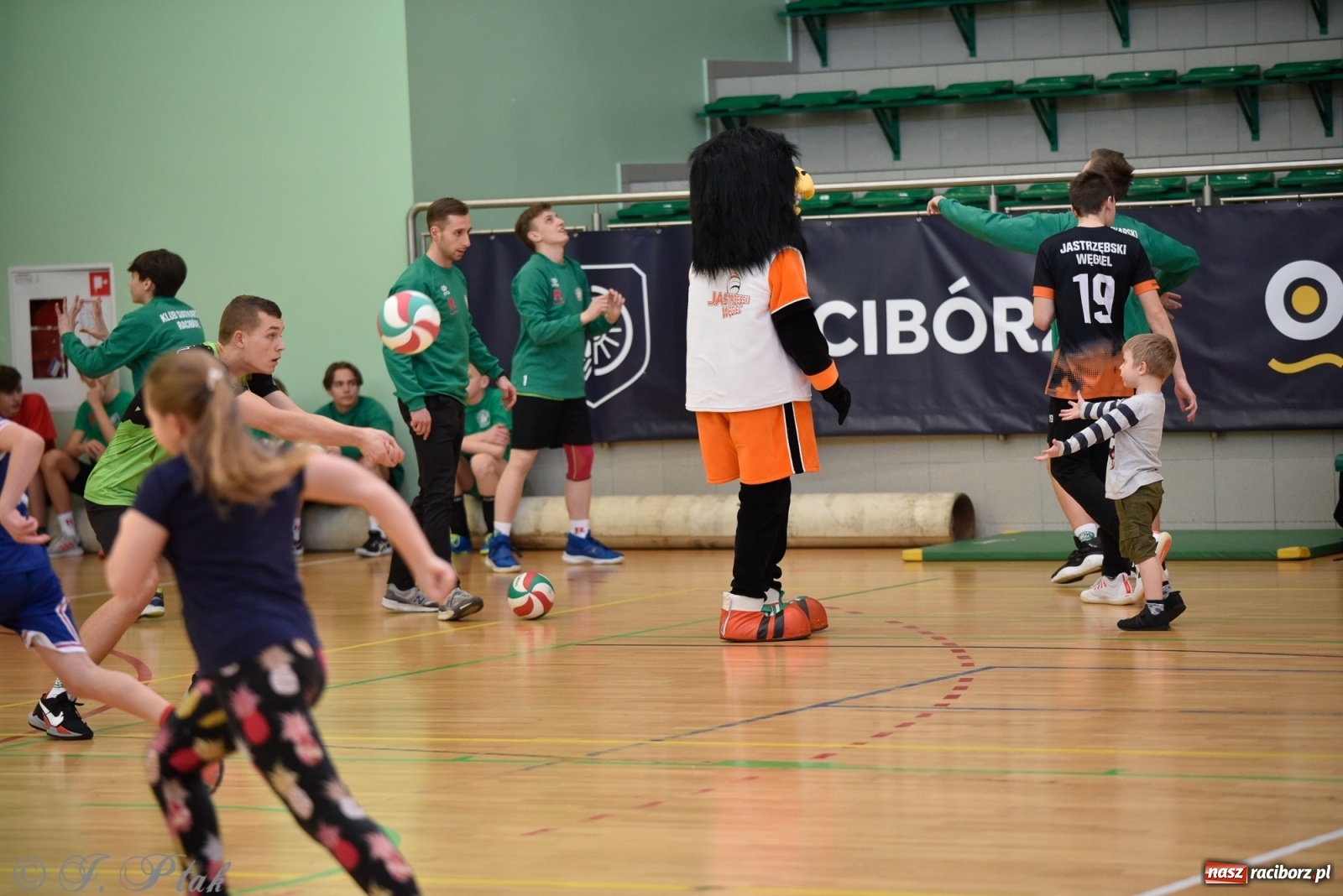 Zdjęcie w galerii na portalu naszraciborz.pl: Festiwal Sportu z SP 18 w hali przy Łąkowej [FOTO i WIDEO] wiadomości z regionu