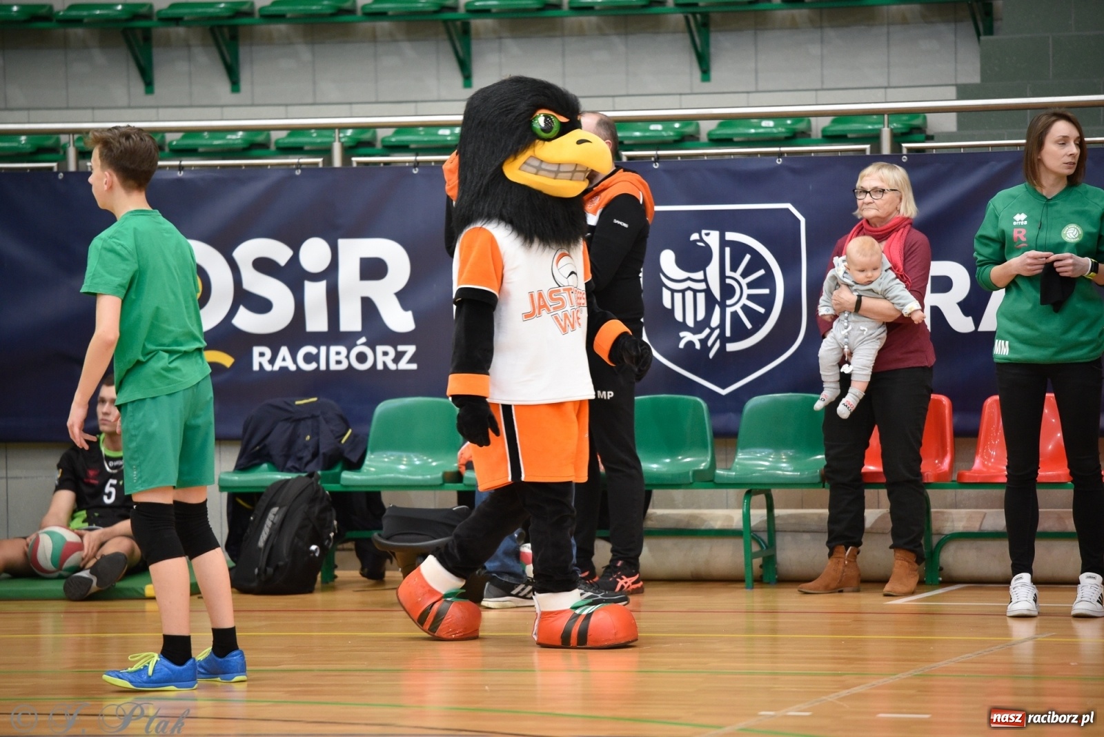 Zdjęcie w galerii na portalu naszraciborz.pl: Festiwal Sportu z SP 18 w hali przy Łąkowej [FOTO i WIDEO] wiadomości z regionu