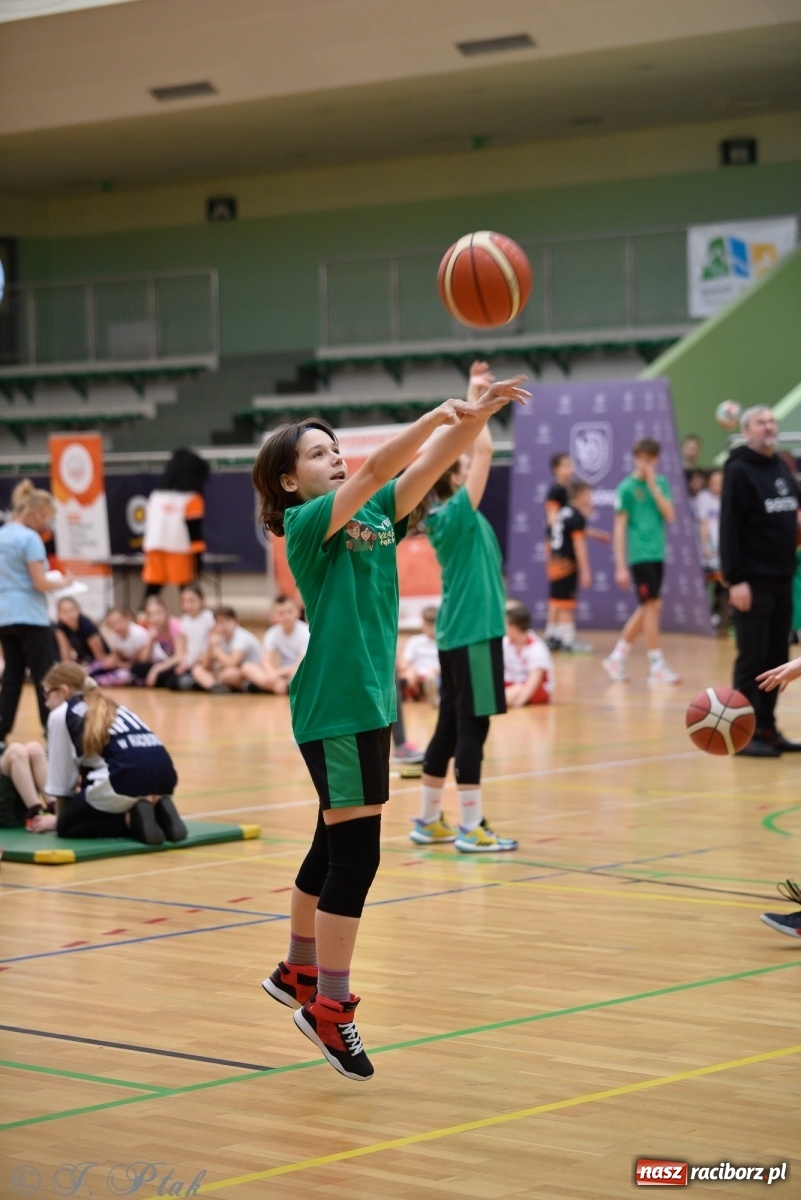 Zdjęcie w galerii na portalu naszraciborz.pl: Festiwal Sportu z SP 18 w hali przy Łąkowej [FOTO i WIDEO] wiadomości z regionu