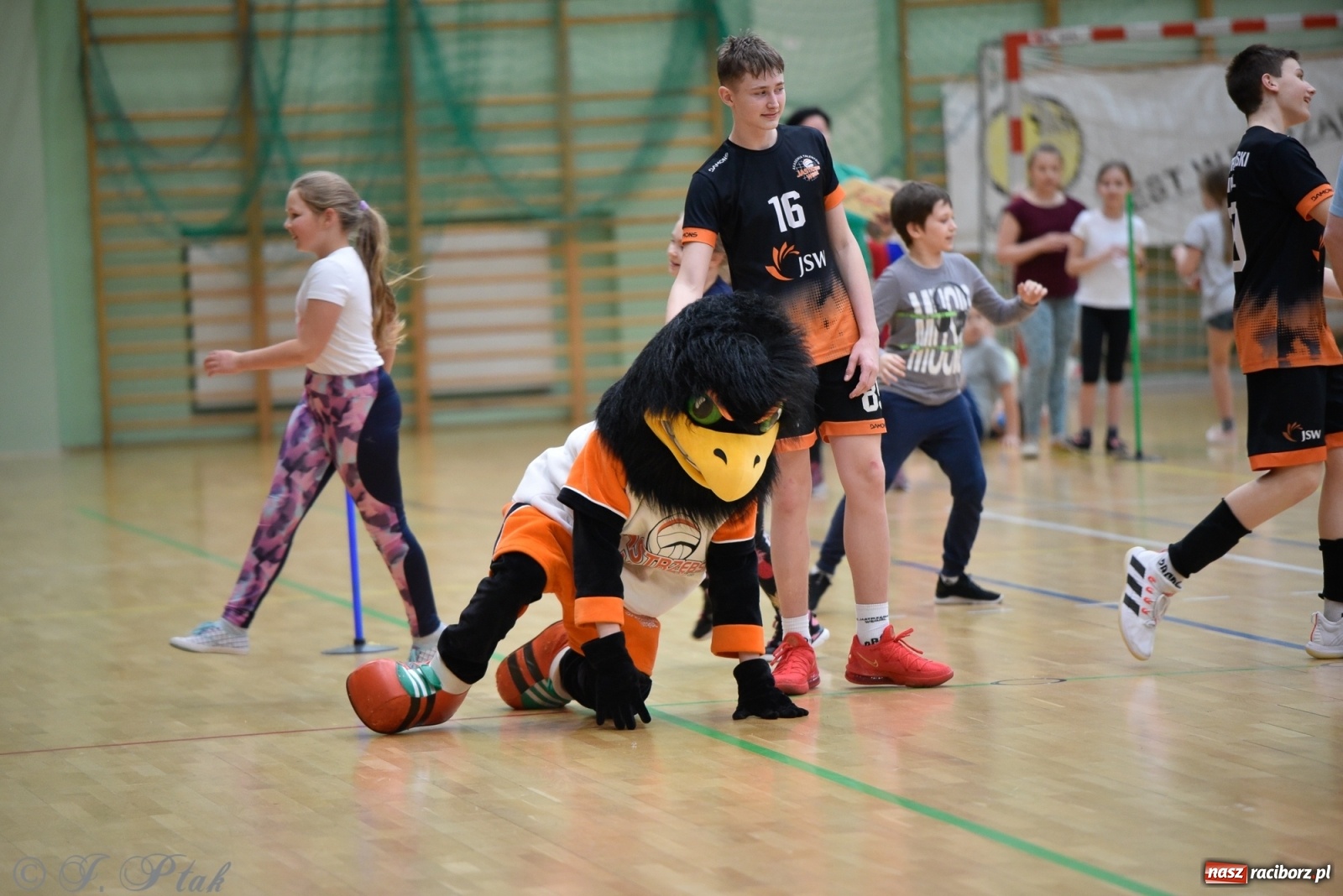 Zdjęcie w galerii na portalu naszraciborz.pl: Festiwal Sportu z SP 18 w hali przy Łąkowej [FOTO i WIDEO] wiadomości z regionu