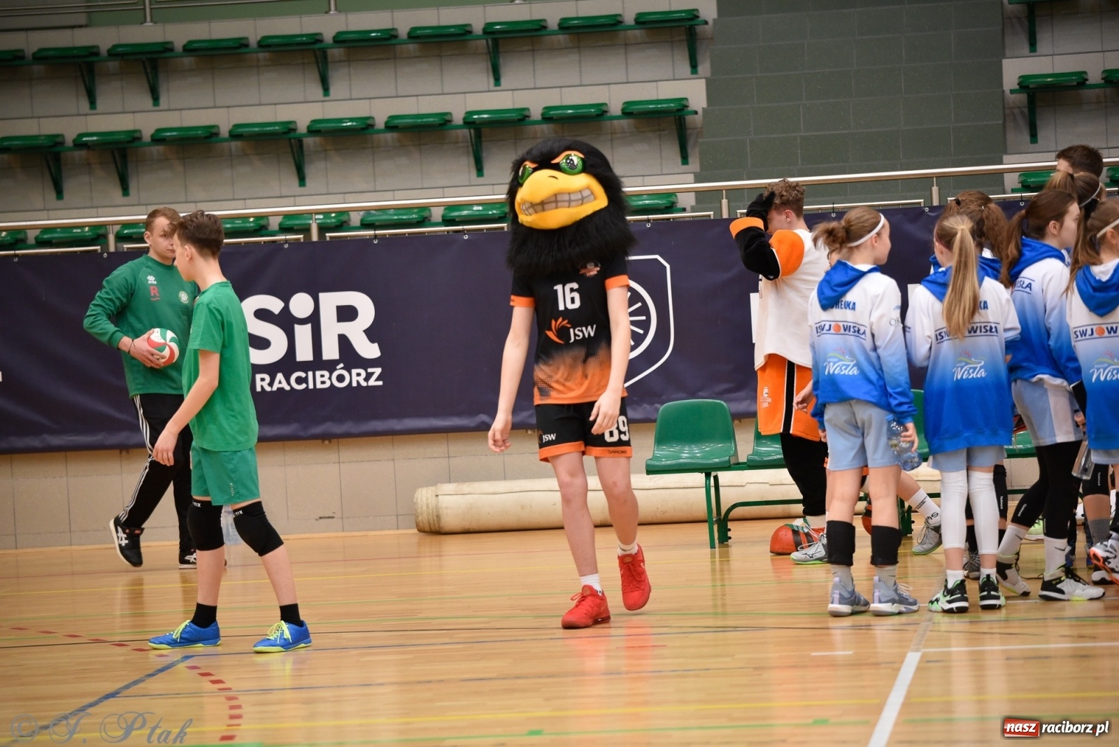 Zdjęcie w galerii na portalu naszraciborz.pl: Festiwal Sportu z SP 18 w hali przy Łąkowej [FOTO i WIDEO] wiadomości z regionu