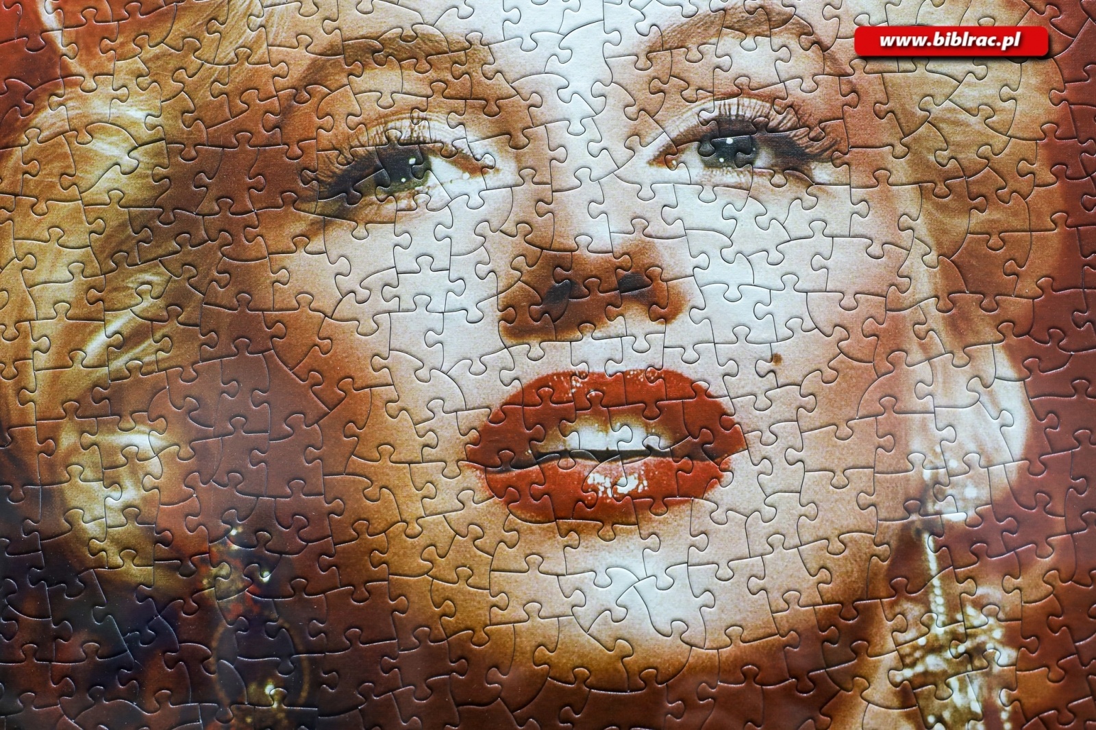 Zdjęcie w galerii na portalu naszraciborz.pl: Sztuka z puzzli. W bibliotece odbył się wernisaż wystawy Jana Świerczka wiadomości z regionu