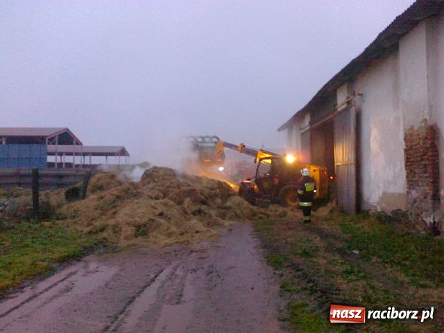 Zdjęcie w galerii na portalu naszraciborz.pl: Spaliło się 90 ton siana wiadomości z regionu