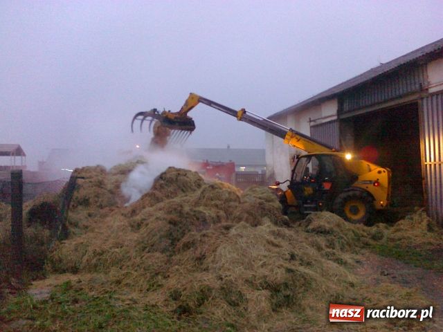 Zdjęcie w galerii na portalu naszraciborz.pl: Spaliło się 90 ton siana wiadomości z regionu