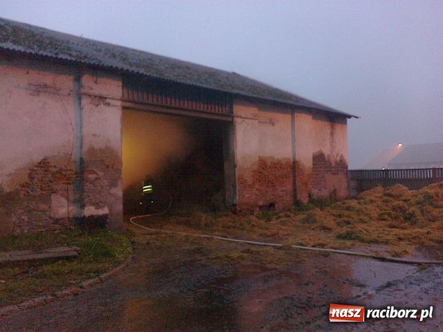 Zdjęcie w galerii na portalu naszraciborz.pl: Spaliło się 90 ton siana wiadomości z regionu