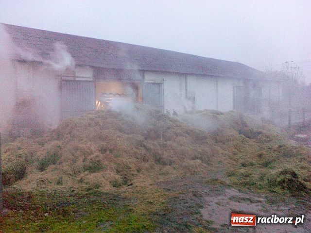Zdjęcie w galerii na portalu naszraciborz.pl: Spaliło się 90 ton siana wiadomości z regionu