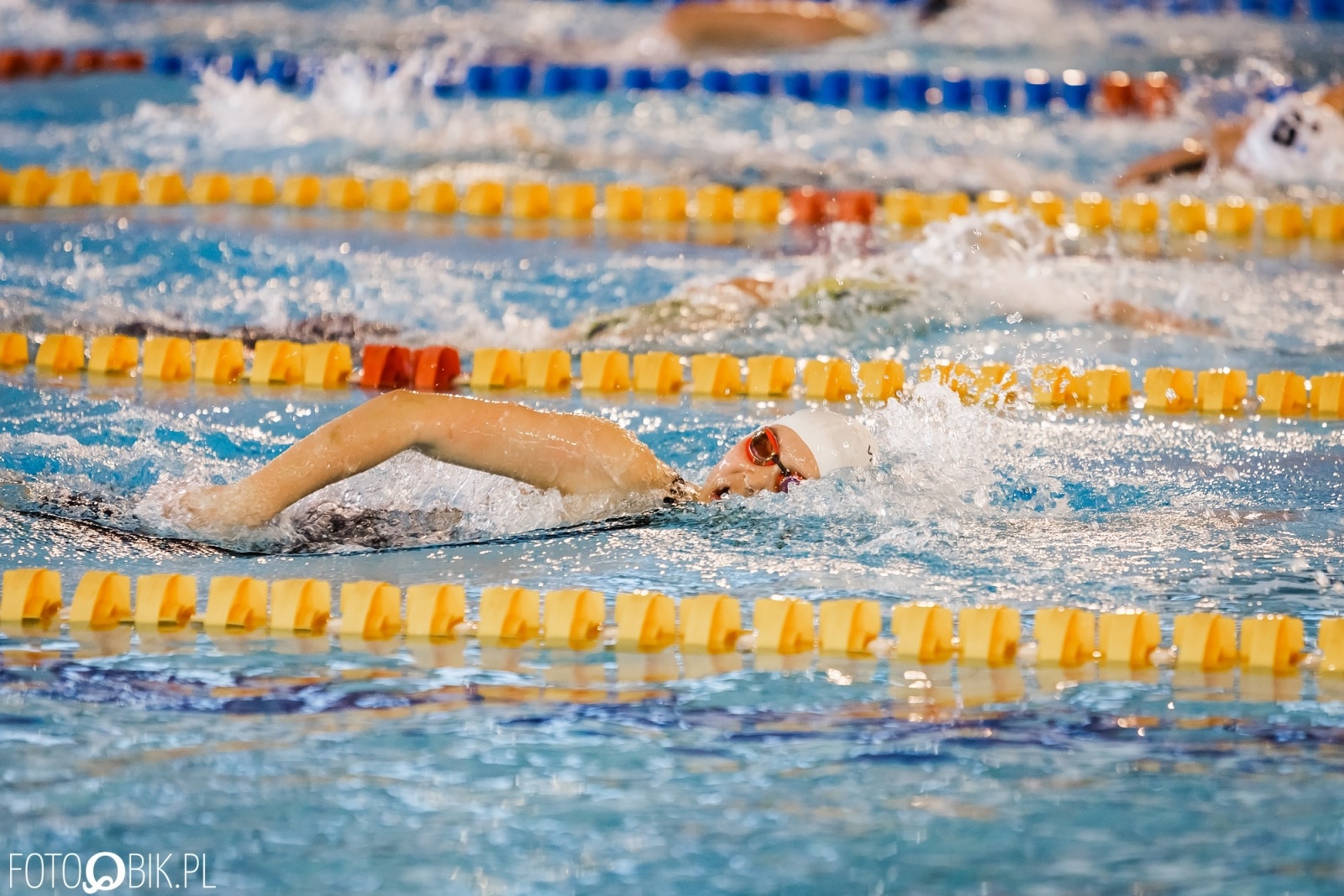 Zdjęcie w galerii na portalu naszraciborz.pl: Pływacy szkół sportowych z całej Polski ścigają się w H2Ostróg wiadomości z regionu