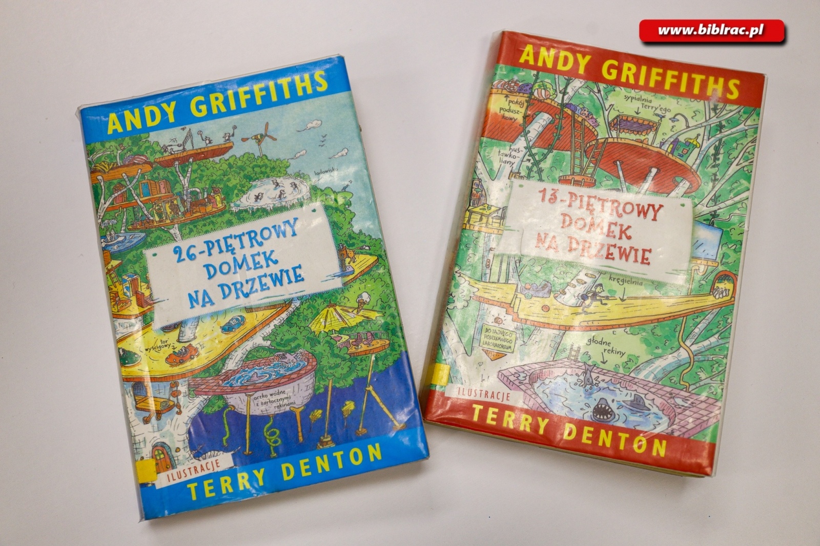 Zdjęcie w galerii na portalu naszraciborz.pl: W bibliotece odbył się konkurs wiedzy o książkach Domek na drzewie Andy Gryffithsa wiadomości z regionu