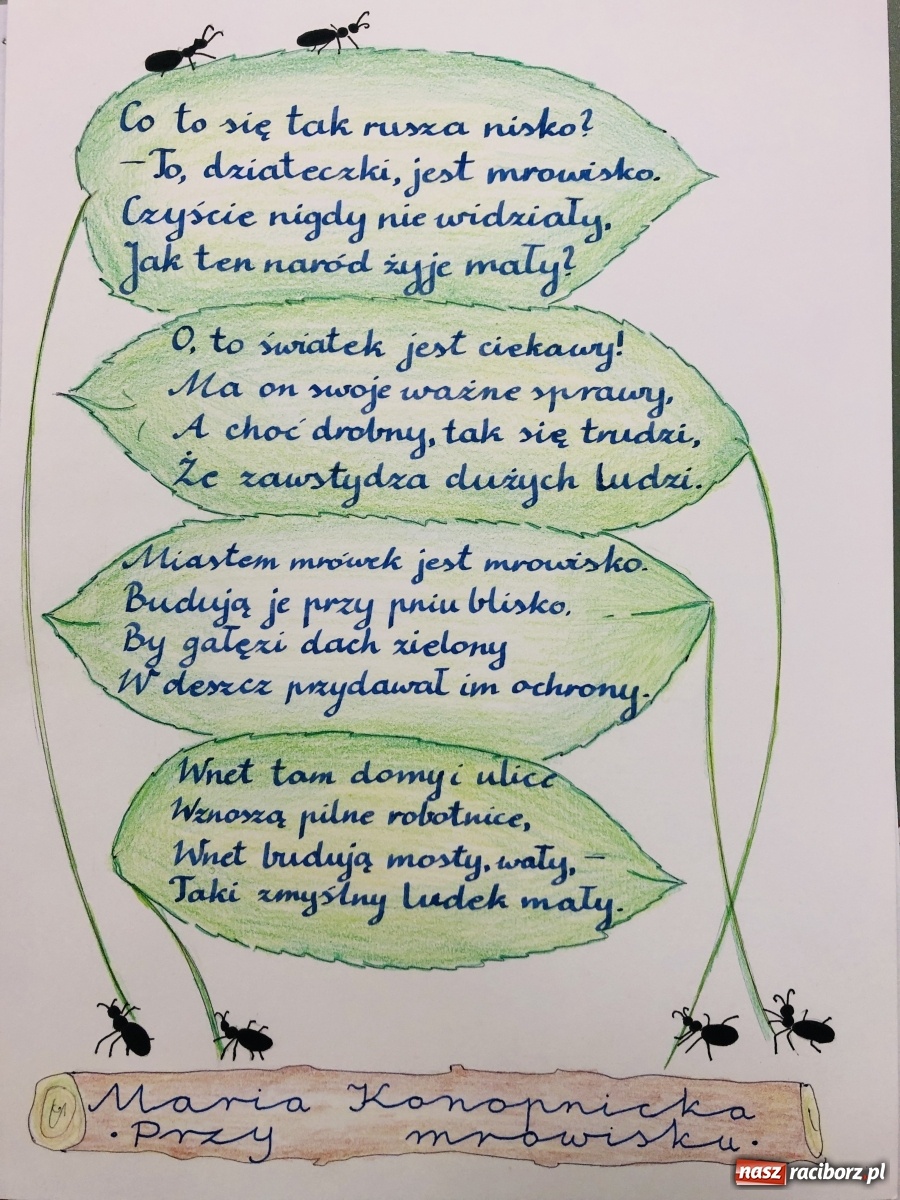 Zdjęcie w galerii na portalu naszraciborz.pl: Jedynka najlepsza w województwie wiadomości z regionu