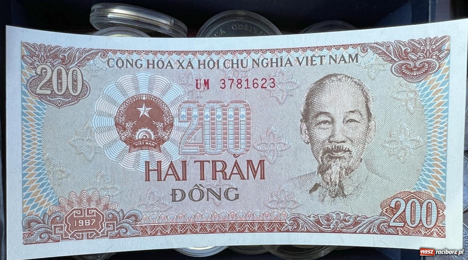 Zdjęcie w galerii na portalu naszraciborz.pl: Im cieplej, tym lepiej. Wiosną budzi się w Raciborzu handel wiadomości z regionu