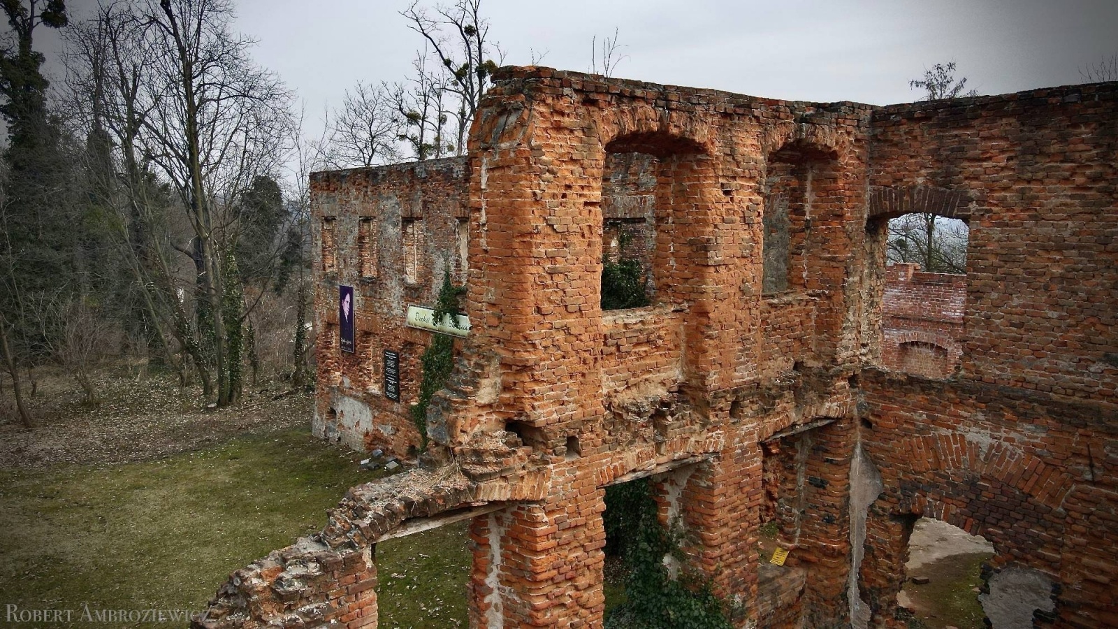 Zdjęcie w galerii na portalu naszraciborz.pl: Pałac miał obserwatorium astronomiczne, ogród z pawiami i fontanny. Dziś to ruina wiadomości z regionu