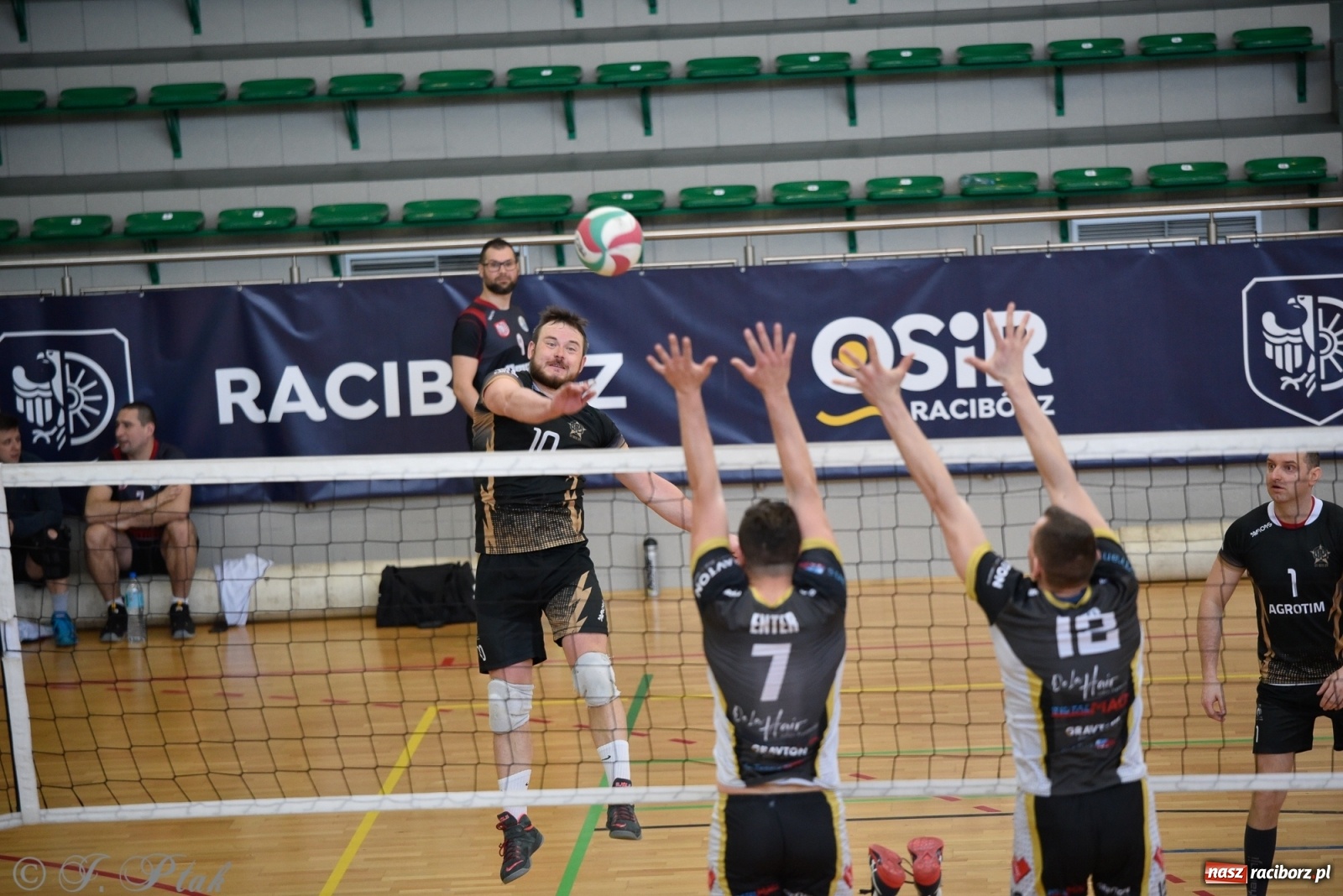 Zdjęcie w galerii na portalu naszraciborz.pl: Siatkarska niedziela z RLPS [FOTO] wiadomości z regionu