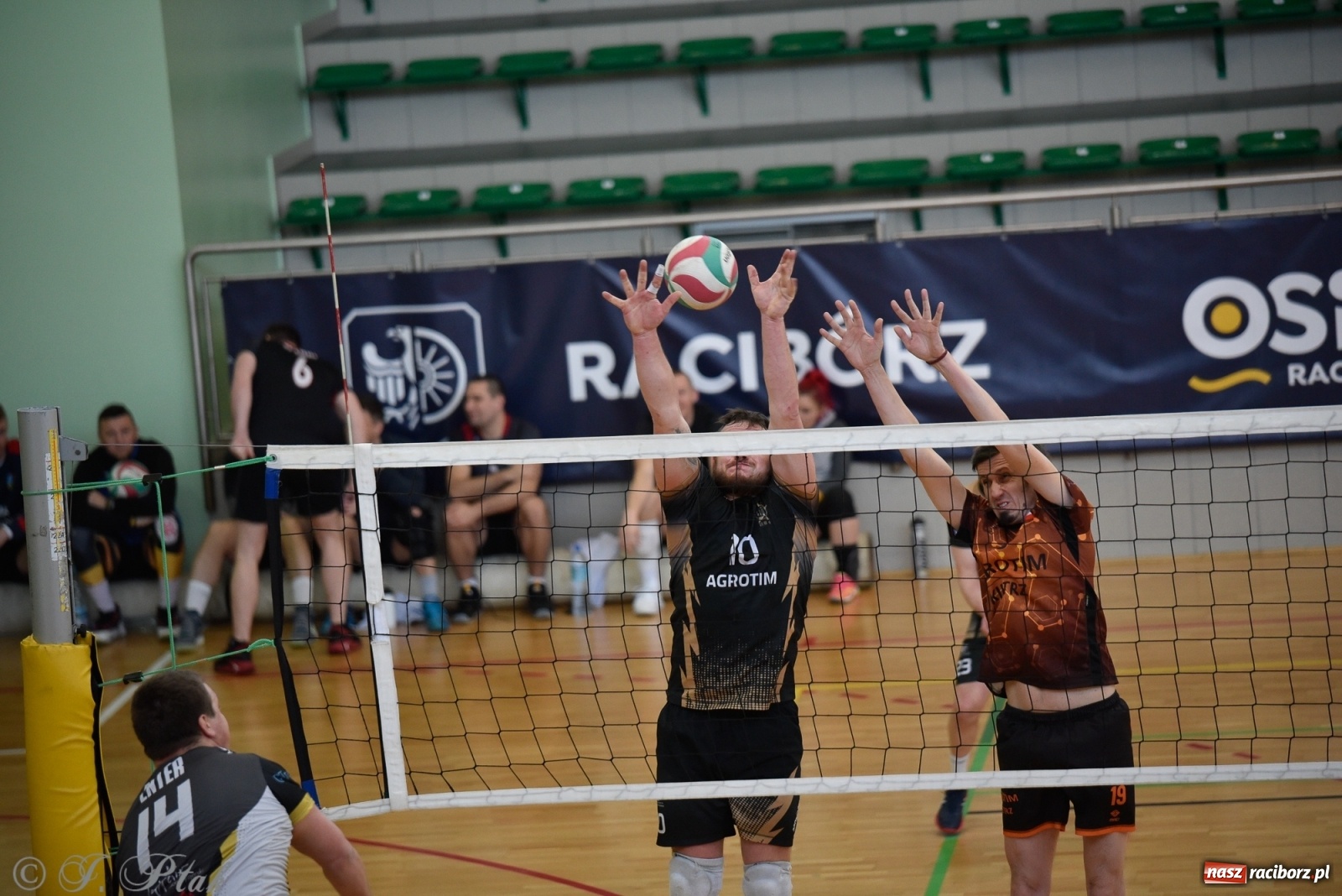 Zdjęcie w galerii na portalu naszraciborz.pl: Siatkarska niedziela z RLPS [FOTO] wiadomości z regionu