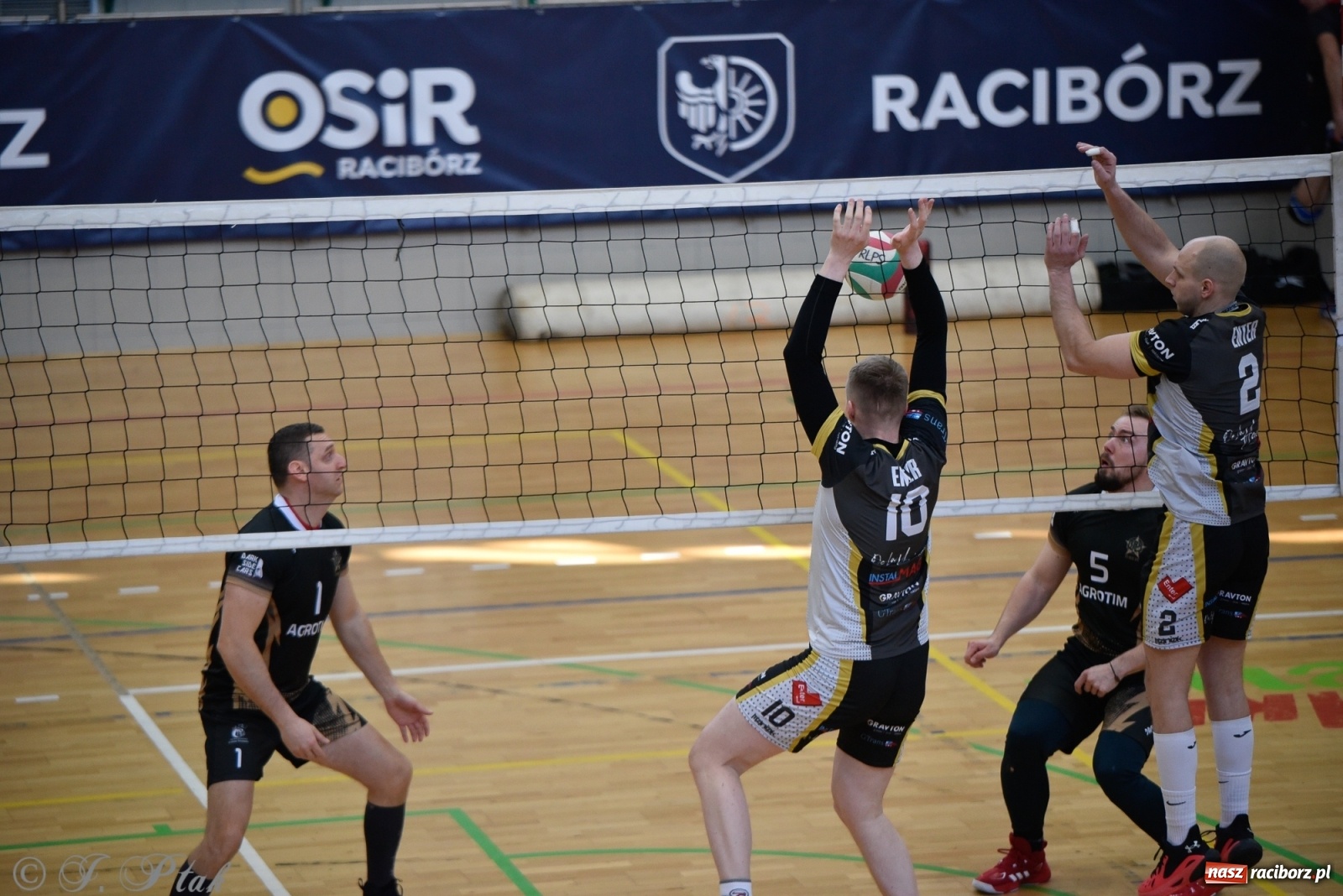 Zdjęcie w galerii na portalu naszraciborz.pl: Siatkarska niedziela z RLPS [FOTO] wiadomości z regionu