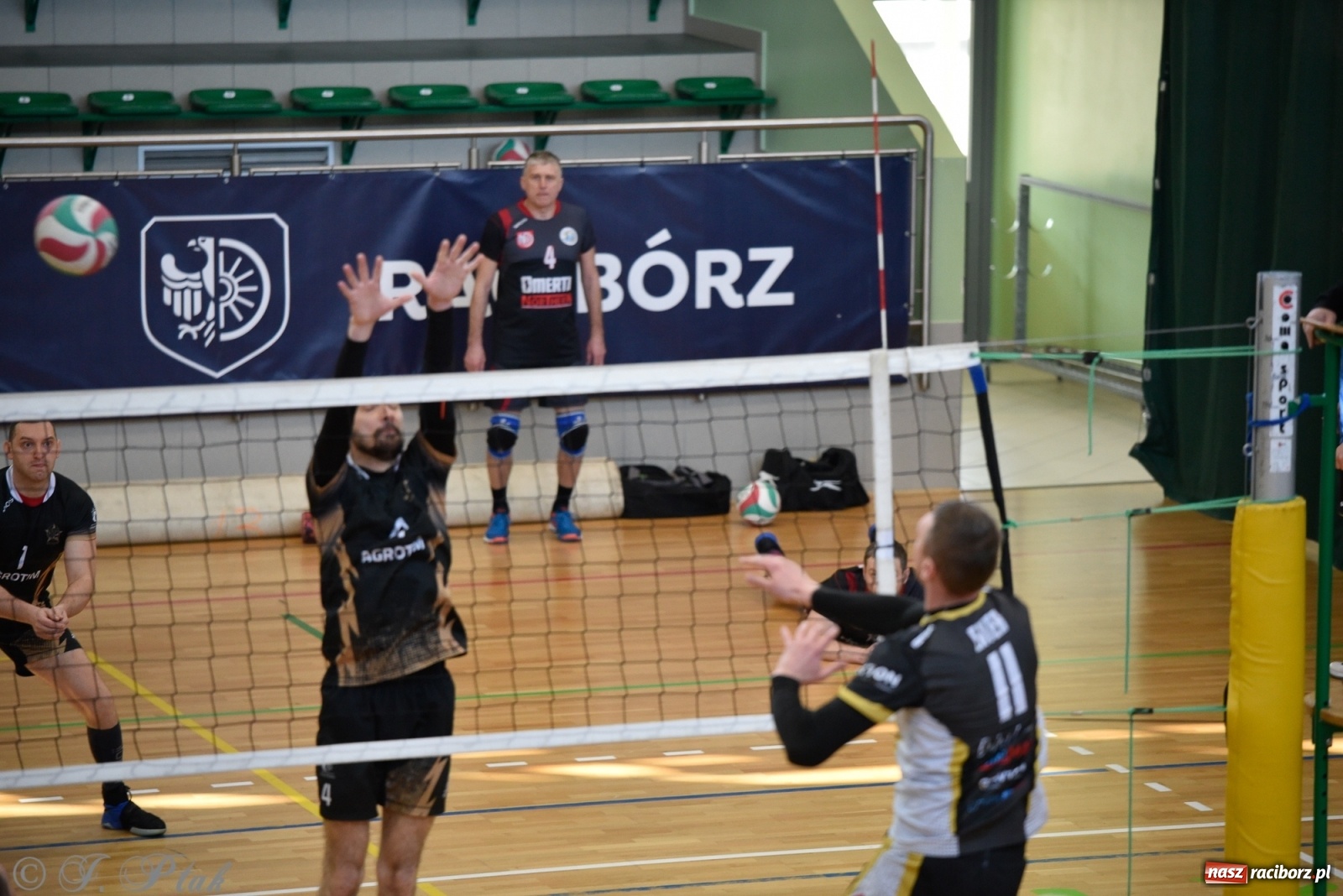 Zdjęcie w galerii na portalu naszraciborz.pl: Siatkarska niedziela z RLPS [FOTO] wiadomości z regionu