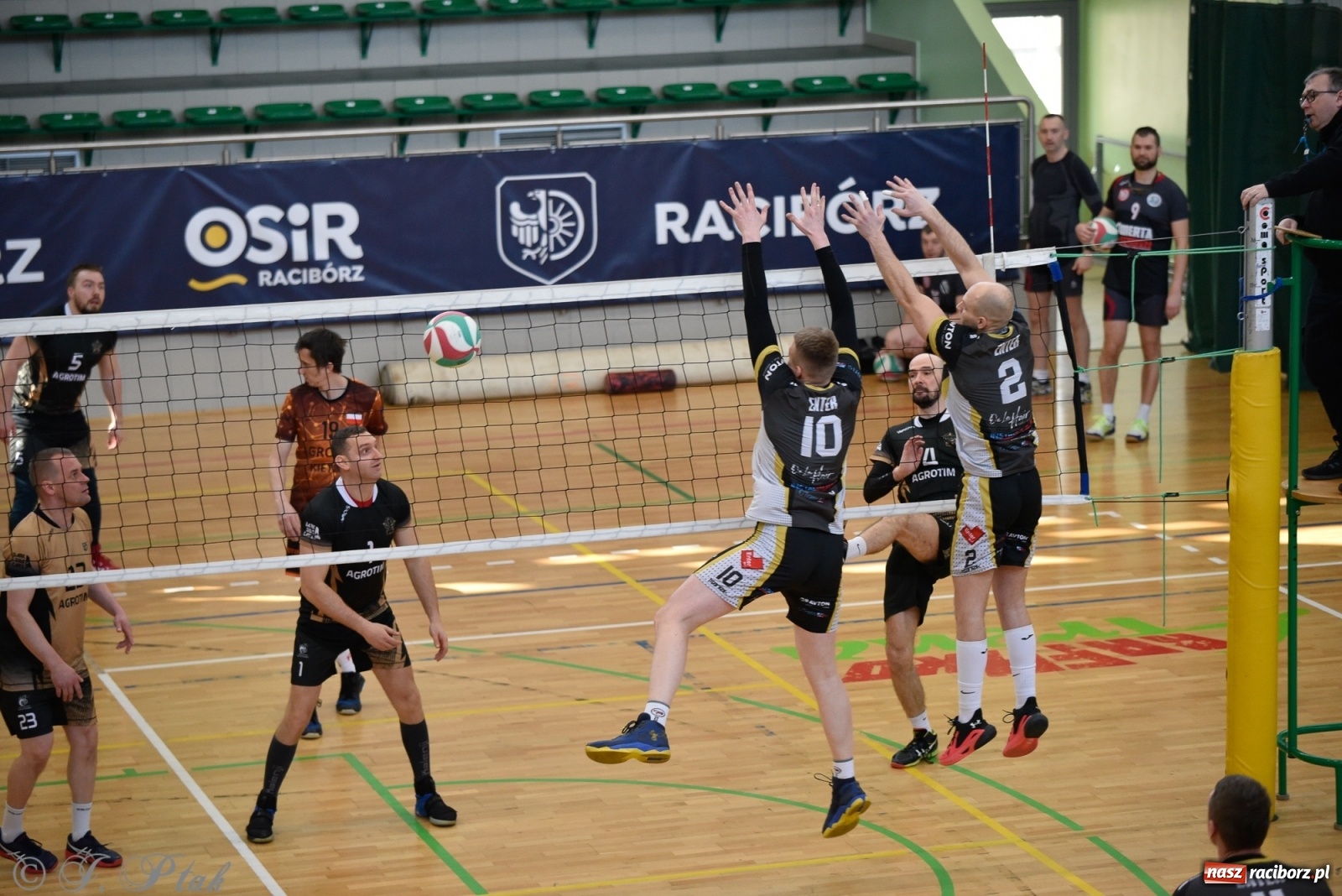 Zdjęcie w galerii na portalu naszraciborz.pl: Siatkarska niedziela z RLPS [FOTO] wiadomości z regionu