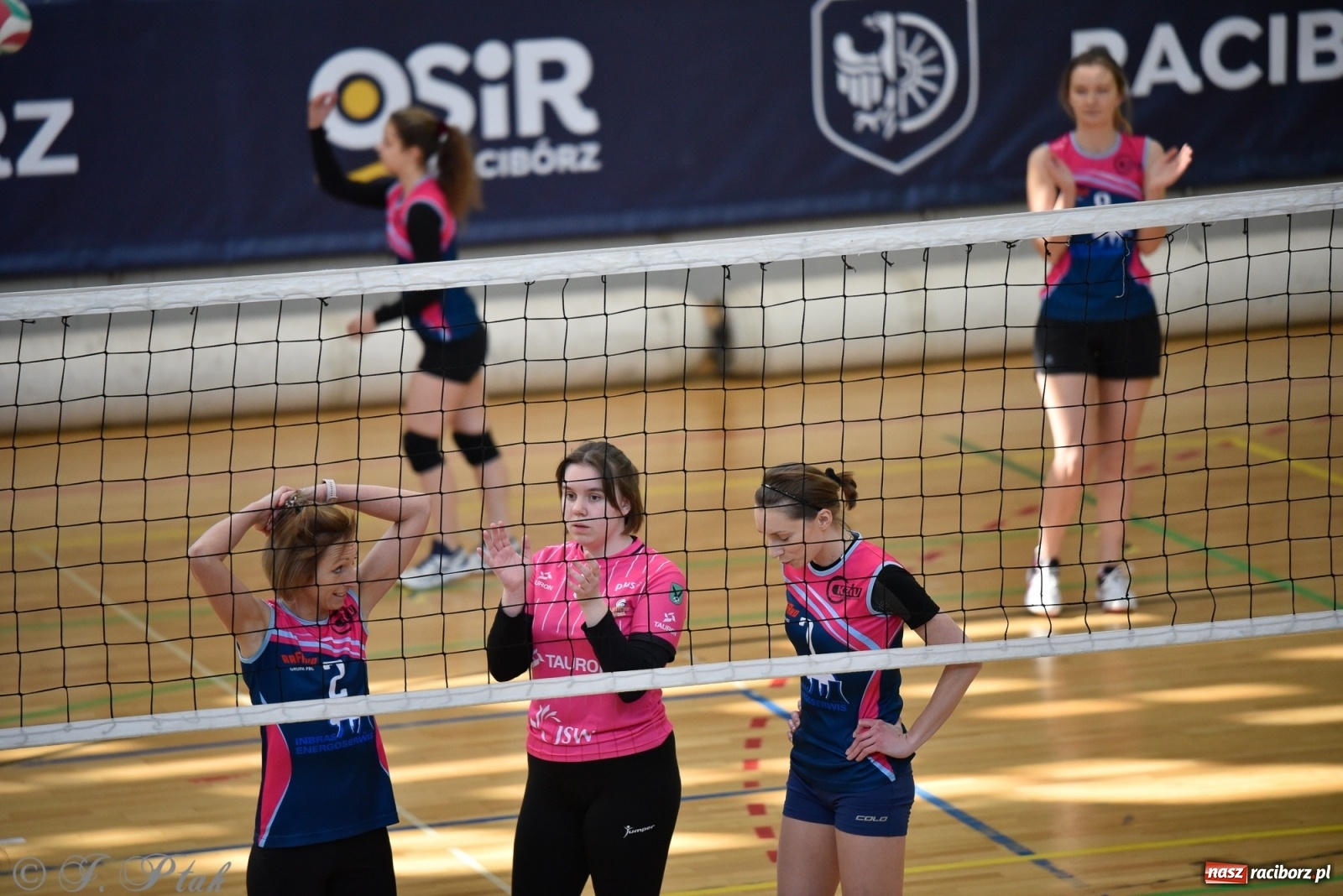 Zdjęcie w galerii na portalu naszraciborz.pl: Siatkarska niedziela z RLPS [FOTO] wiadomości z regionu