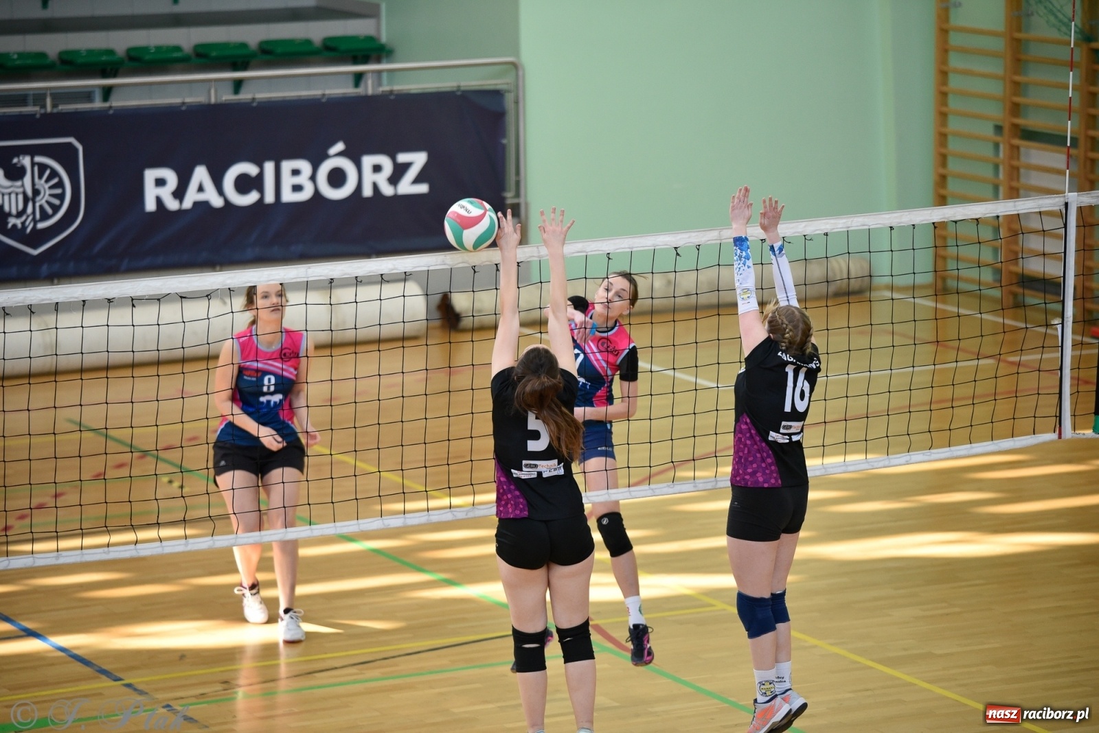 Zdjęcie w galerii na portalu naszraciborz.pl: Siatkarska niedziela z RLPS [FOTO] wiadomości z regionu