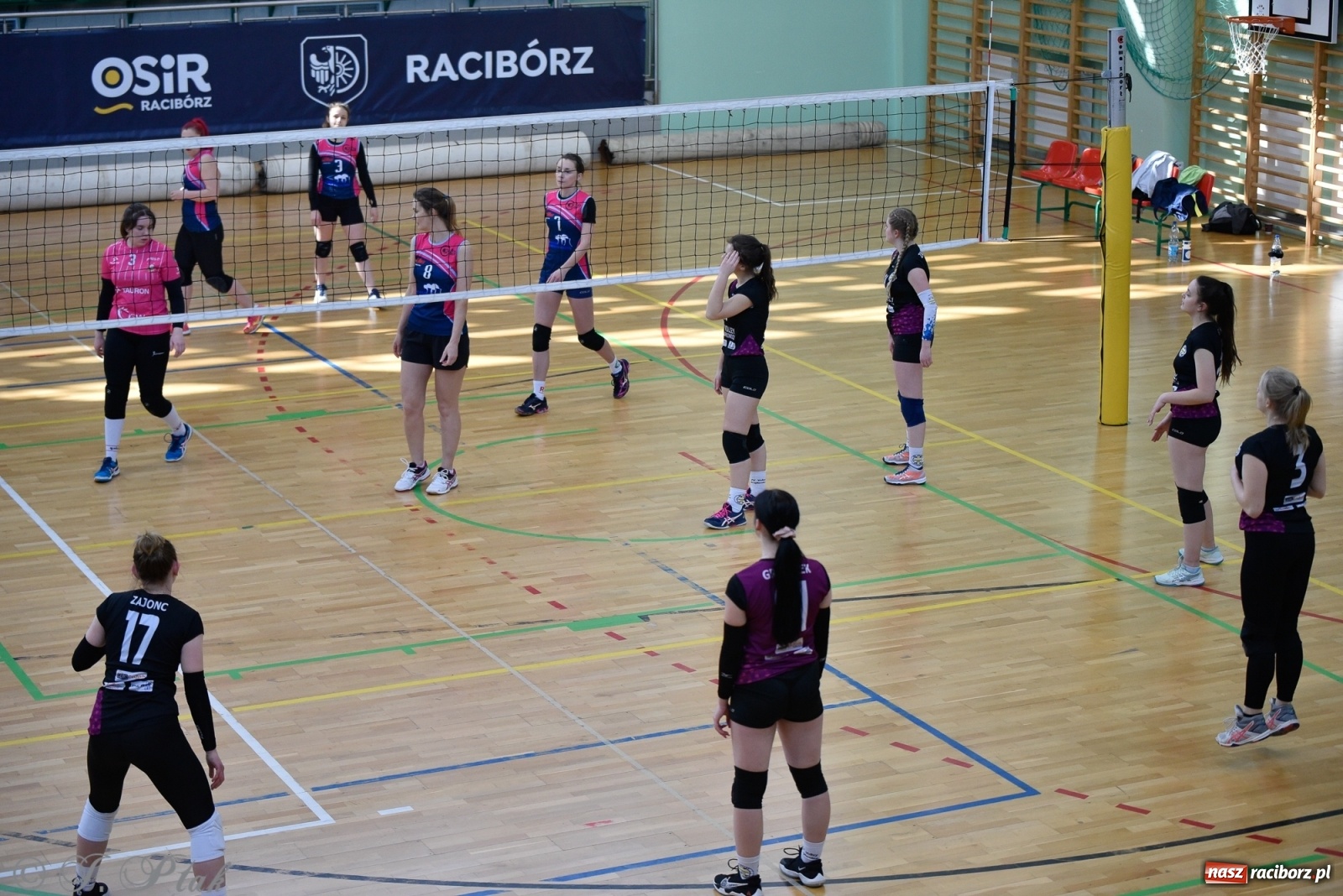 Zdjęcie w galerii na portalu naszraciborz.pl: Siatkarska niedziela z RLPS [FOTO] wiadomości z regionu