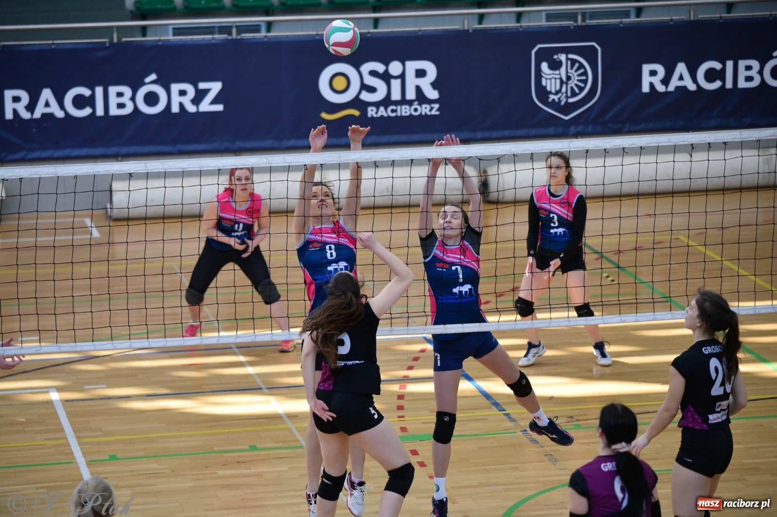 Zdjęcie w galerii na portalu naszraciborz.pl: Siatkarska niedziela z RLPS [FOTO] wiadomości z regionu