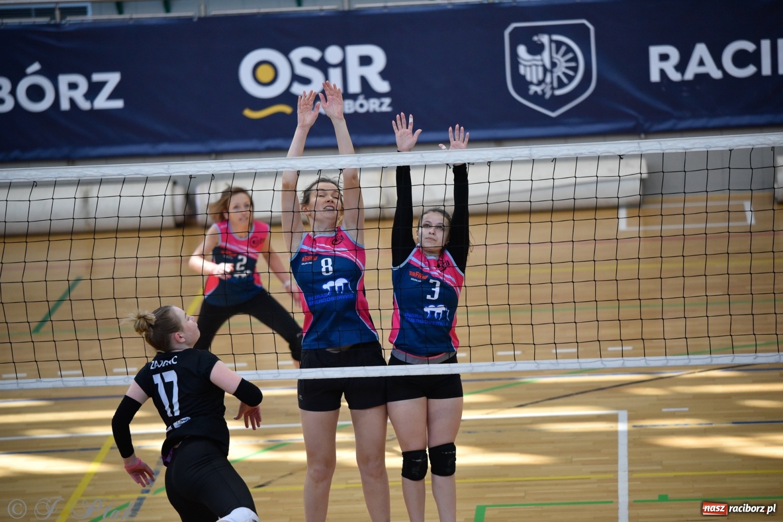 Zdjęcie w galerii na portalu naszraciborz.pl: Siatkarska niedziela z RLPS [FOTO] wiadomości z regionu