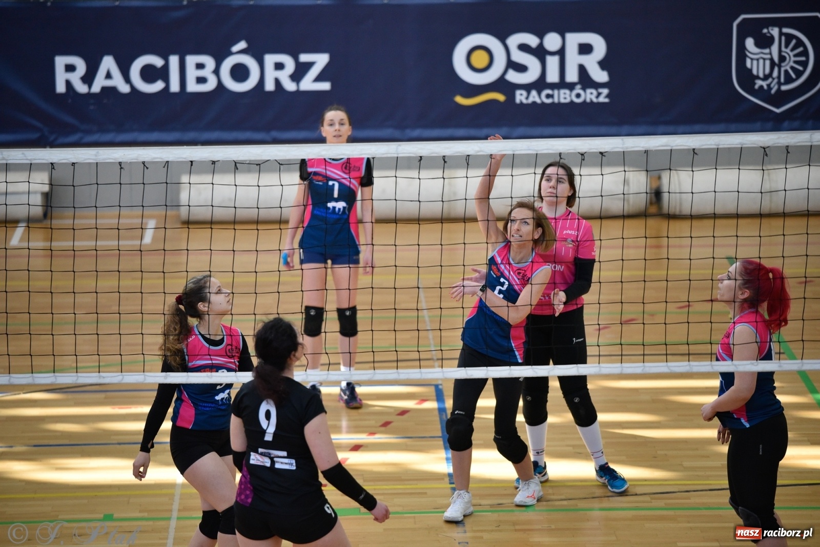Zdjęcie w galerii na portalu naszraciborz.pl: Siatkarska niedziela z RLPS [FOTO] wiadomości z regionu