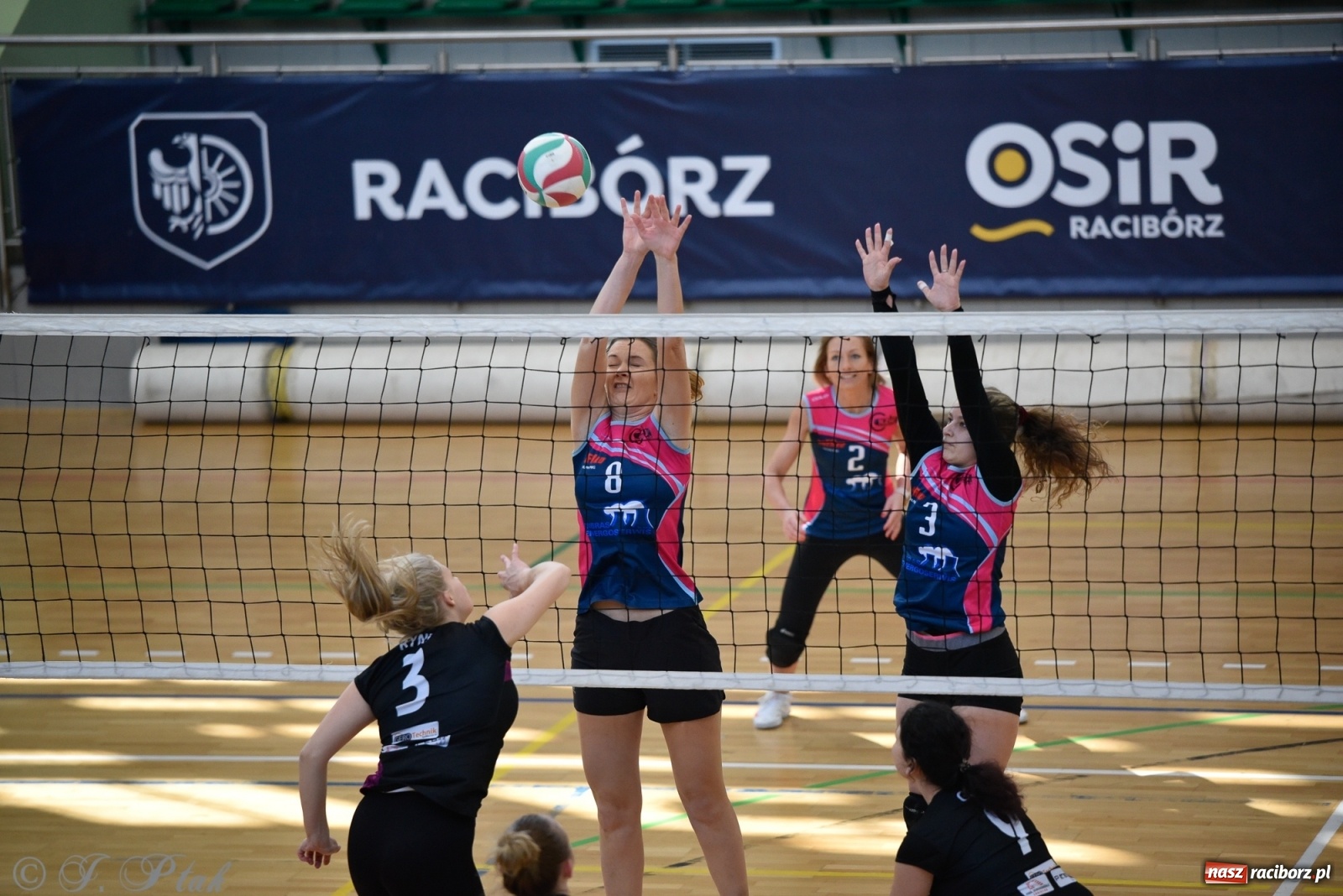 Zdjęcie w galerii na portalu naszraciborz.pl: Siatkarska niedziela z RLPS [FOTO] wiadomości z regionu