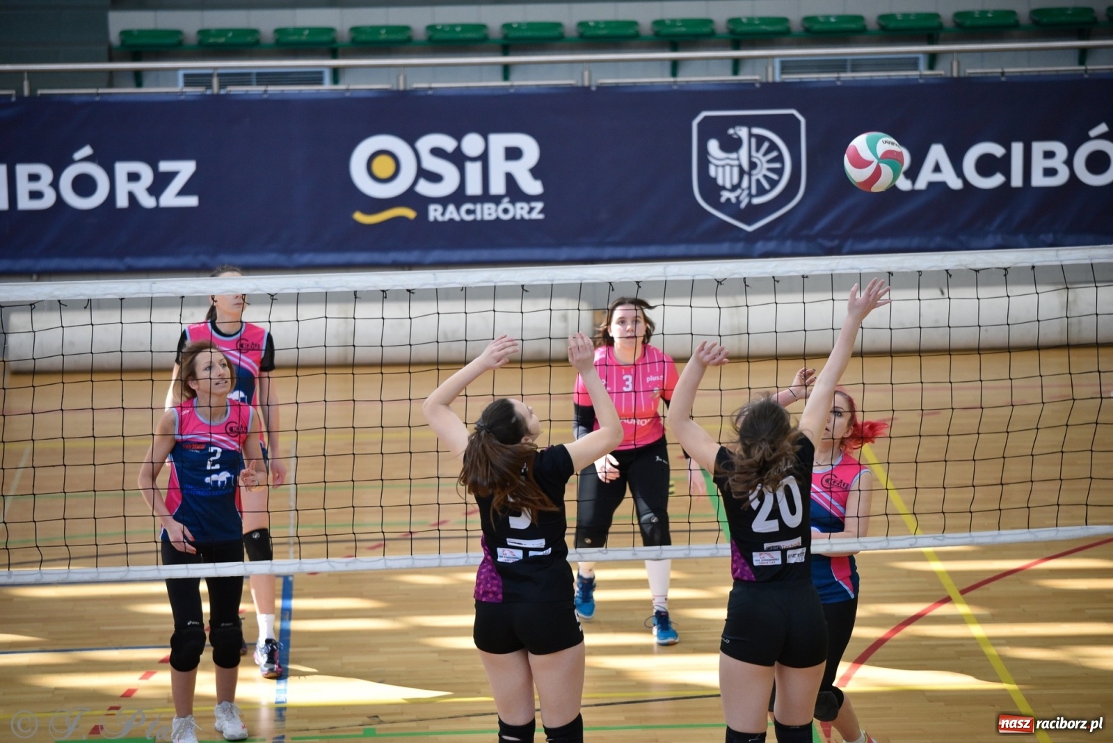 Zdjęcie w galerii na portalu naszraciborz.pl: Siatkarska niedziela z RLPS [FOTO] wiadomości z regionu