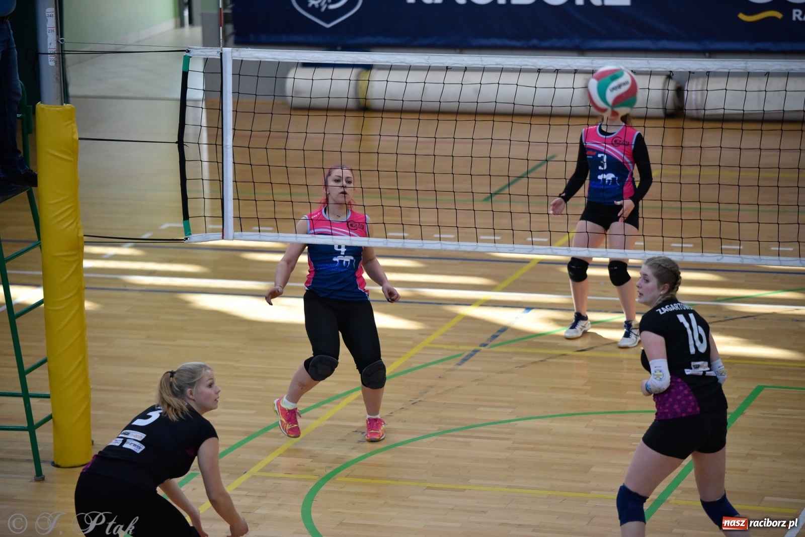 Zdjęcie w galerii na portalu naszraciborz.pl: Siatkarska niedziela z RLPS [FOTO] wiadomości z regionu