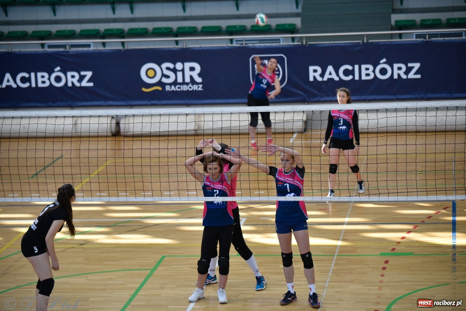 Zdjęcie w galerii na portalu naszraciborz.pl: Siatkarska niedziela z RLPS [FOTO] wiadomości z regionu