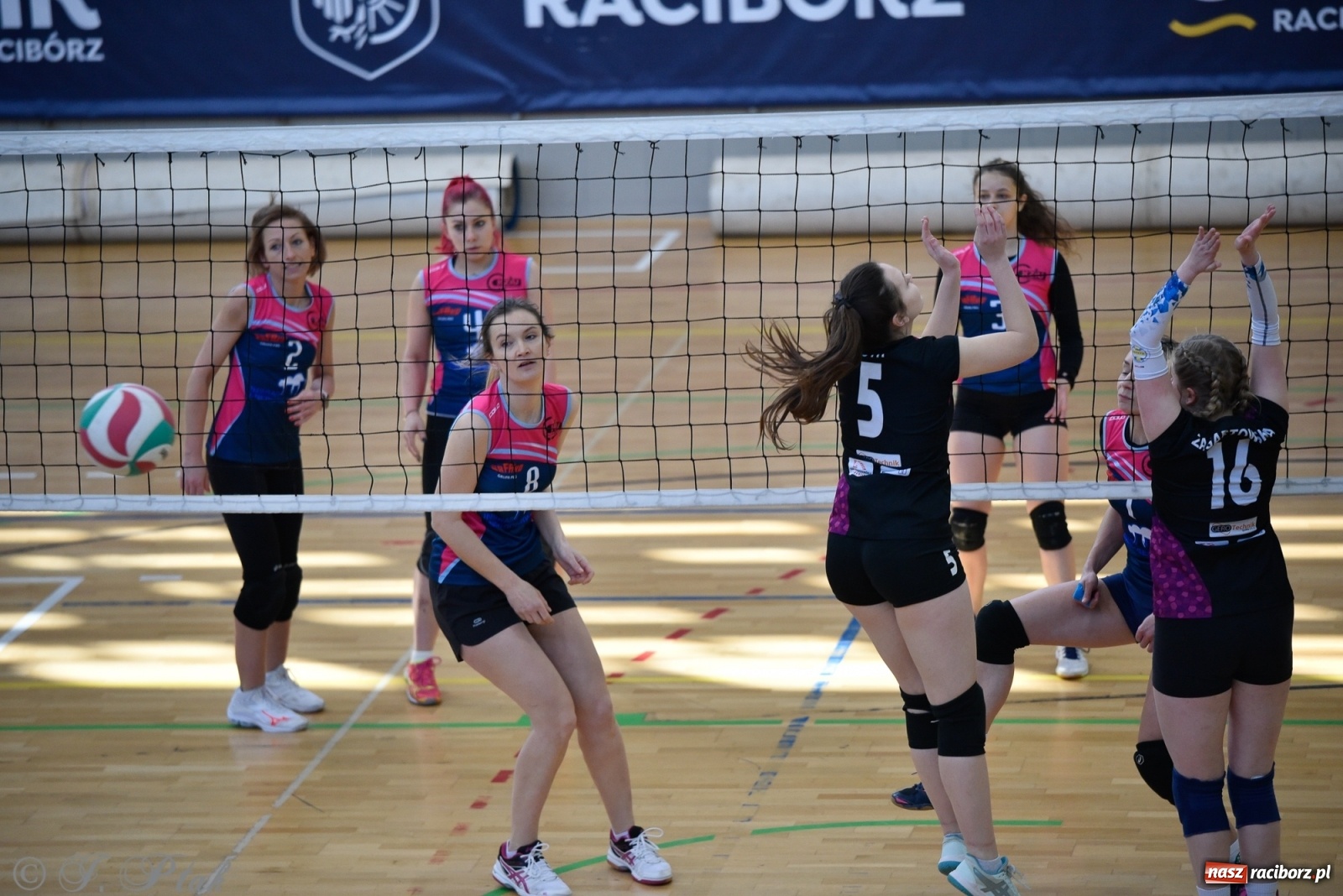 Zdjęcie w galerii na portalu naszraciborz.pl: Siatkarska niedziela z RLPS [FOTO] wiadomości z regionu