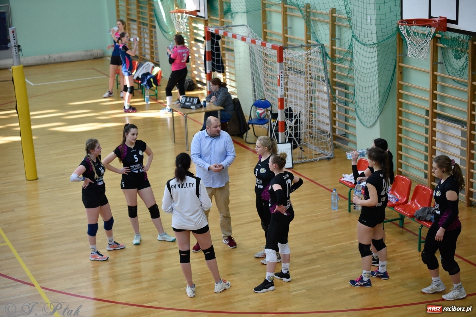 Zdjęcie w galerii na portalu naszraciborz.pl: Siatkarska niedziela z RLPS [FOTO] wiadomości z regionu