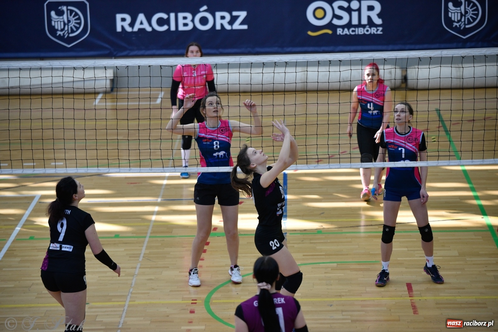 Zdjęcie w galerii na portalu naszraciborz.pl: Siatkarska niedziela z RLPS [FOTO] wiadomości z regionu