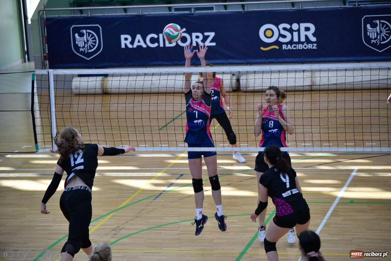 Zdjęcie w galerii na portalu naszraciborz.pl: Siatkarska niedziela z RLPS [FOTO] wiadomości z regionu