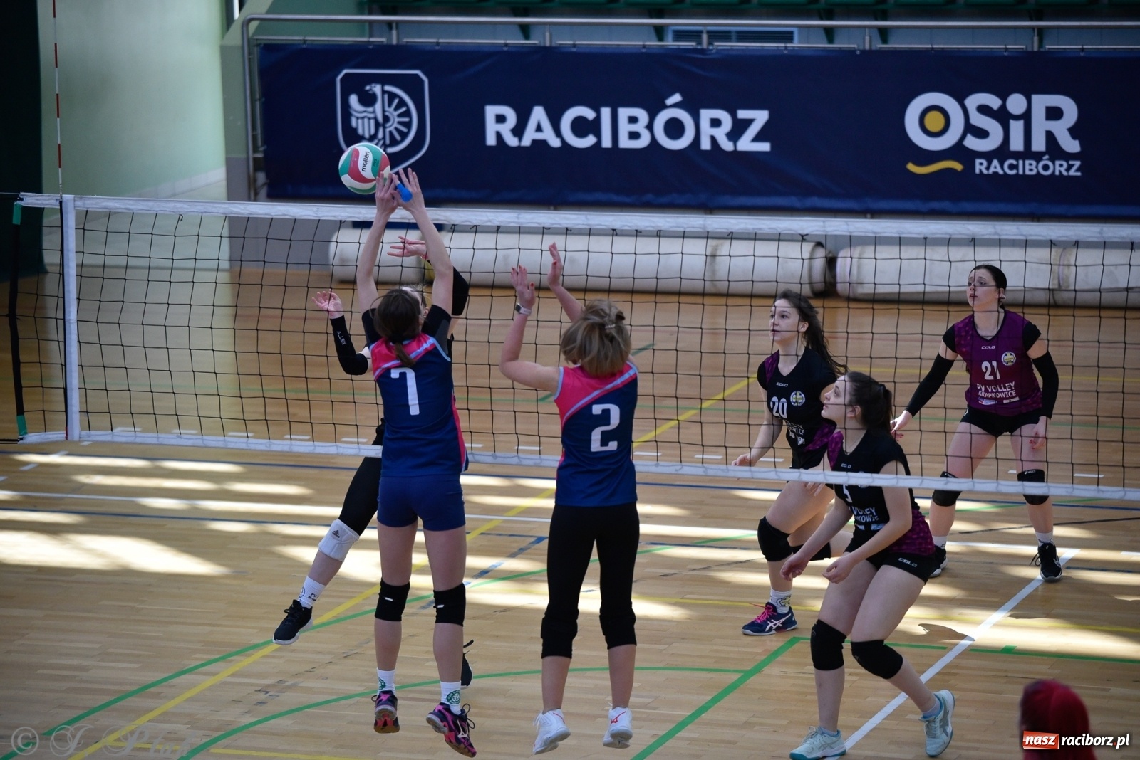 Zdjęcie w galerii na portalu naszraciborz.pl: Siatkarska niedziela z RLPS [FOTO] wiadomości z regionu