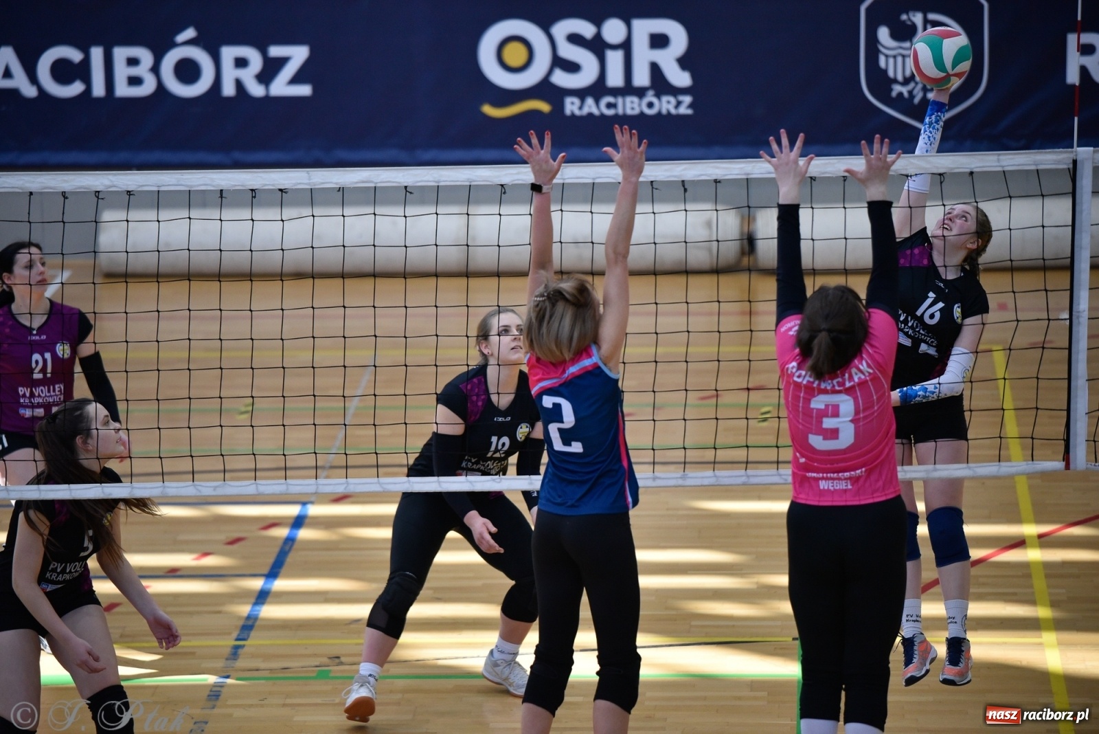 Zdjęcie w galerii na portalu naszraciborz.pl: Siatkarska niedziela z RLPS [FOTO] wiadomości z regionu