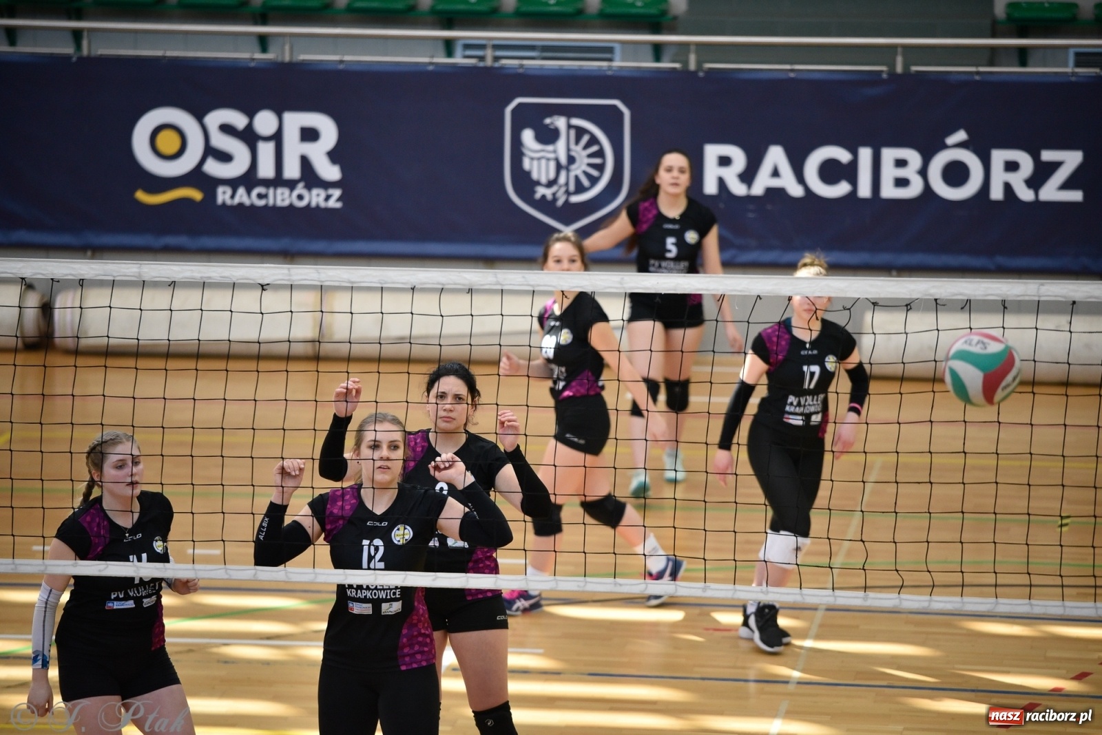 Zdjęcie w galerii na portalu naszraciborz.pl: Siatkarska niedziela z RLPS [FOTO] wiadomości z regionu