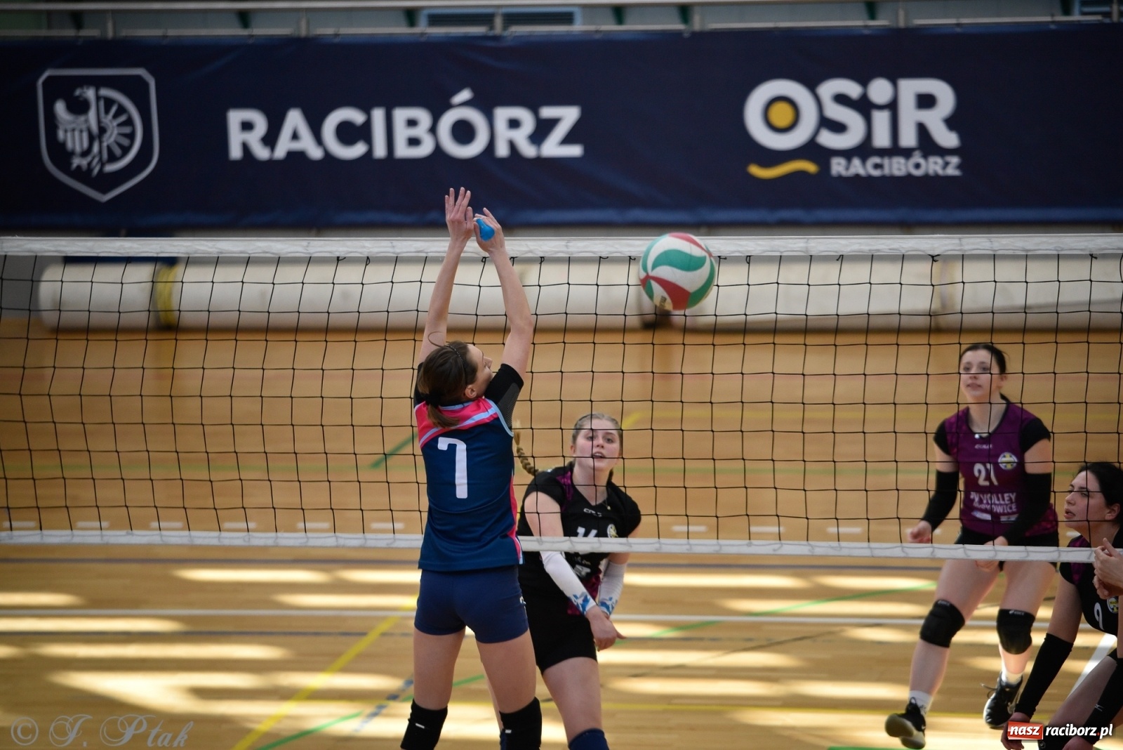 Zdjęcie w galerii na portalu naszraciborz.pl: Siatkarska niedziela z RLPS [FOTO] wiadomości z regionu