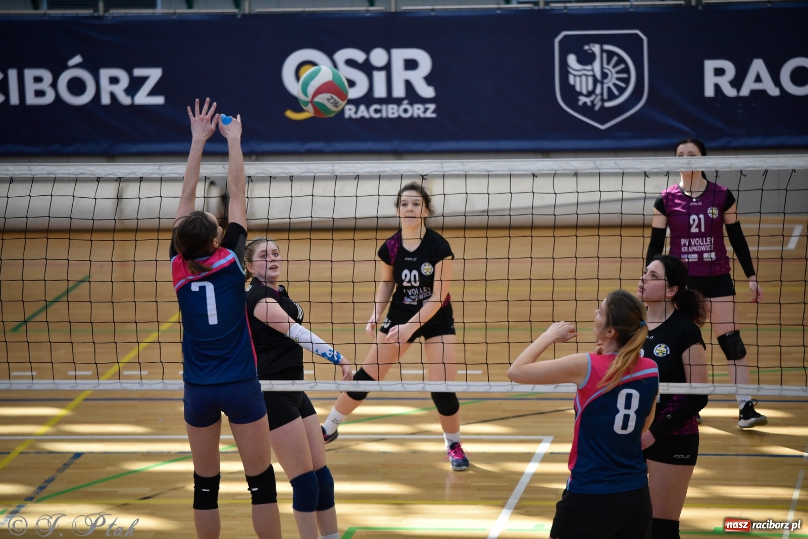 Zdjęcie w galerii na portalu naszraciborz.pl: Siatkarska niedziela z RLPS [FOTO] wiadomości z regionu