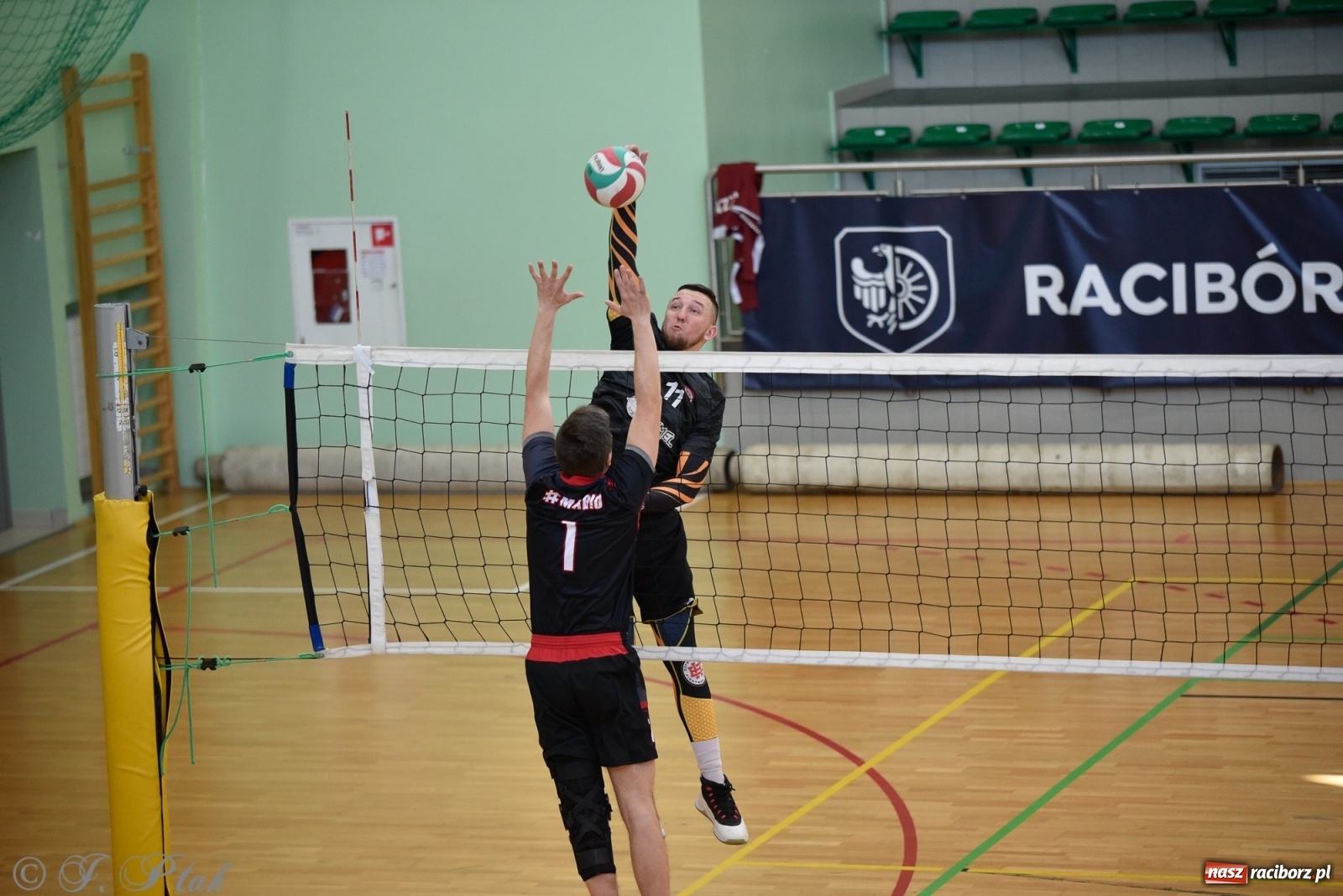 Zdjęcie w galerii na portalu naszraciborz.pl: Siatkarska niedziela z RLPS [FOTO] wiadomości z regionu