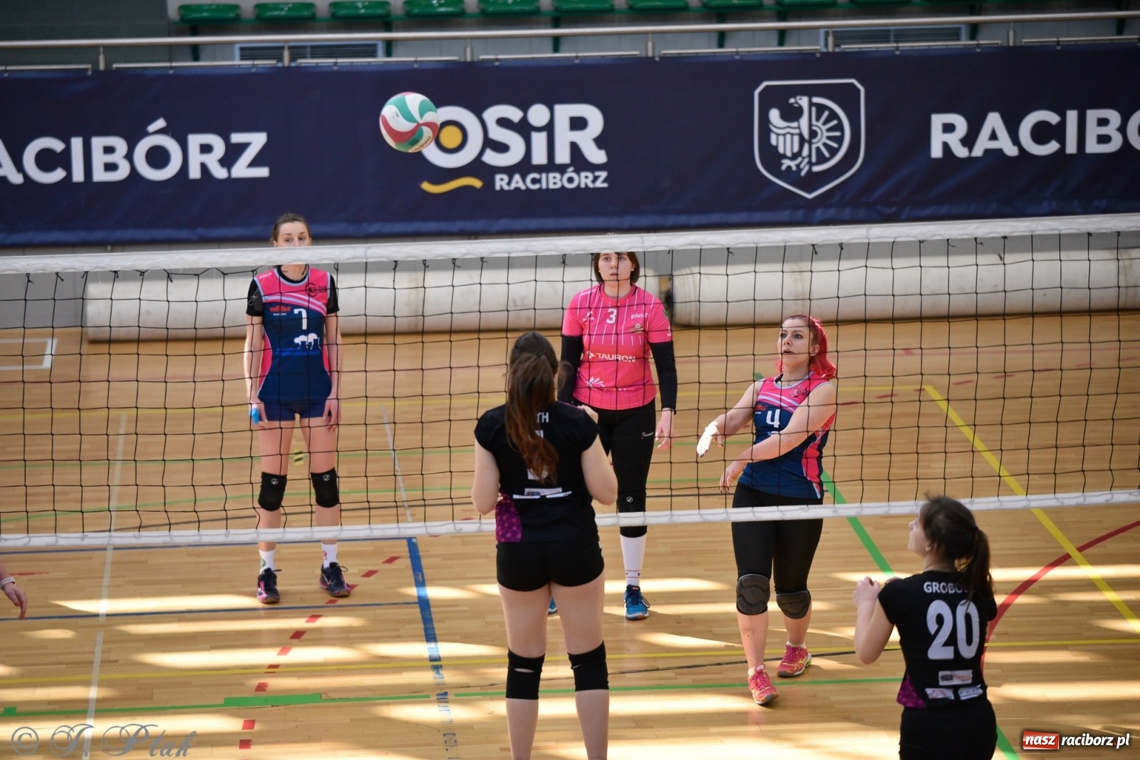 Zdjęcie w galerii na portalu naszraciborz.pl: Siatkarska niedziela z RLPS [FOTO] wiadomości z regionu
